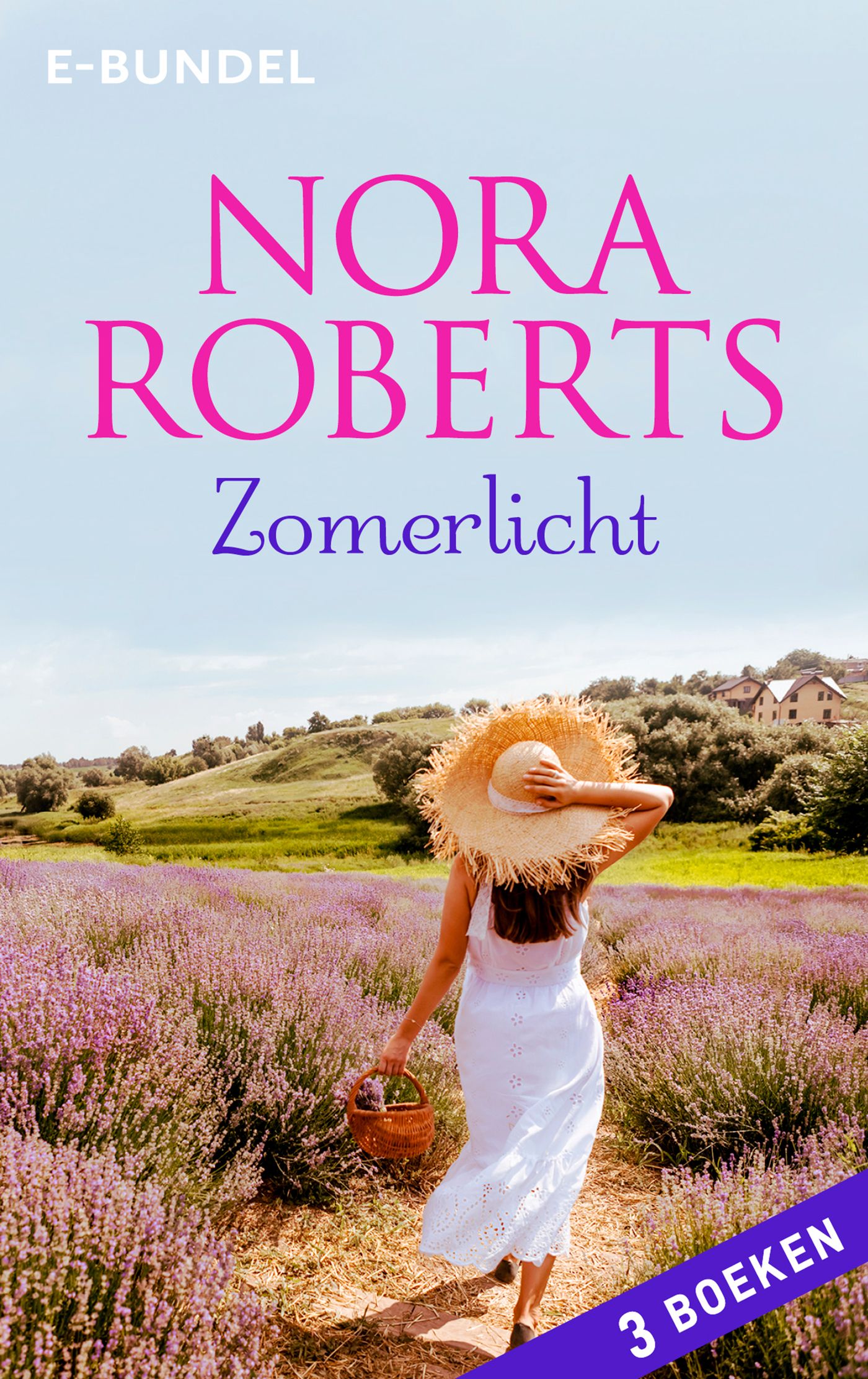 Omslag van Zomerlicht