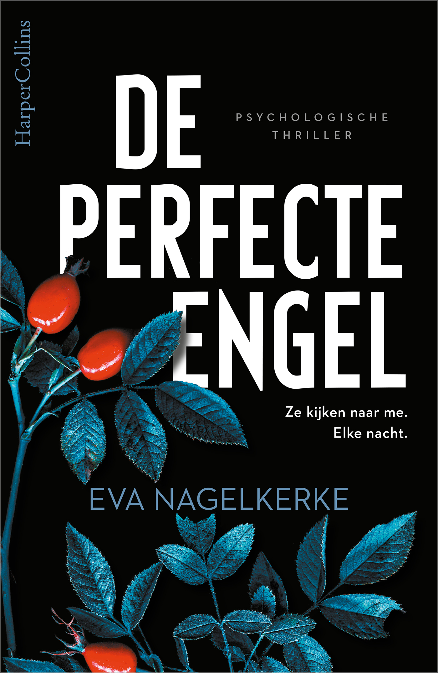 Omslag van De perfecte engel