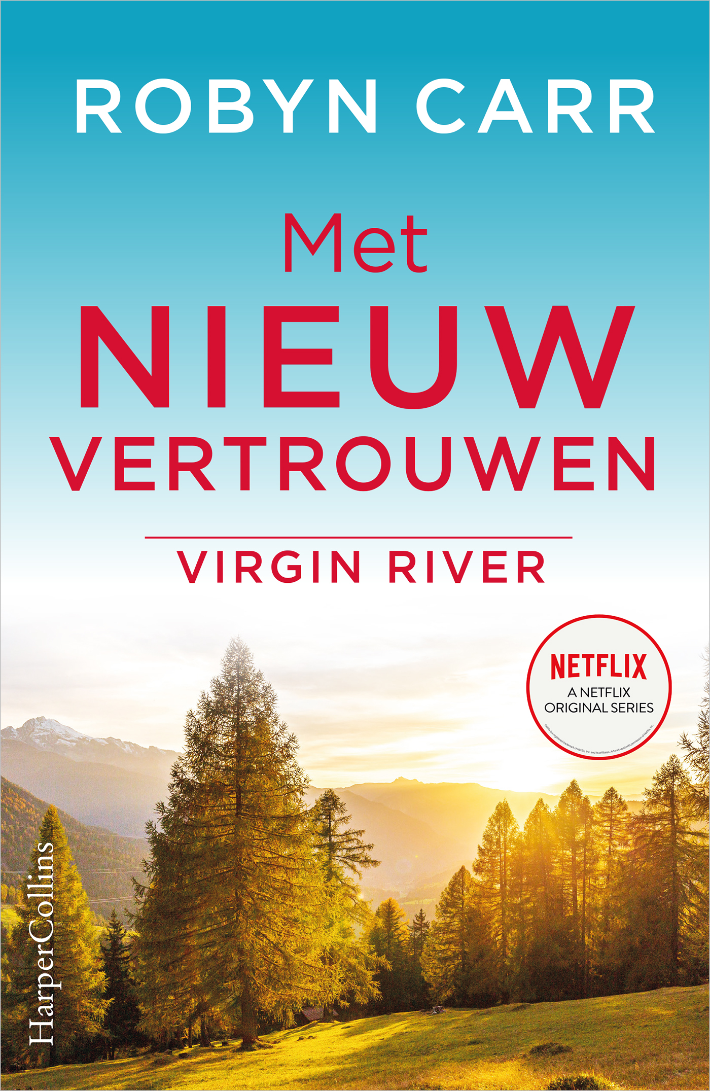 Omslag van Met nieuw vertrouwen