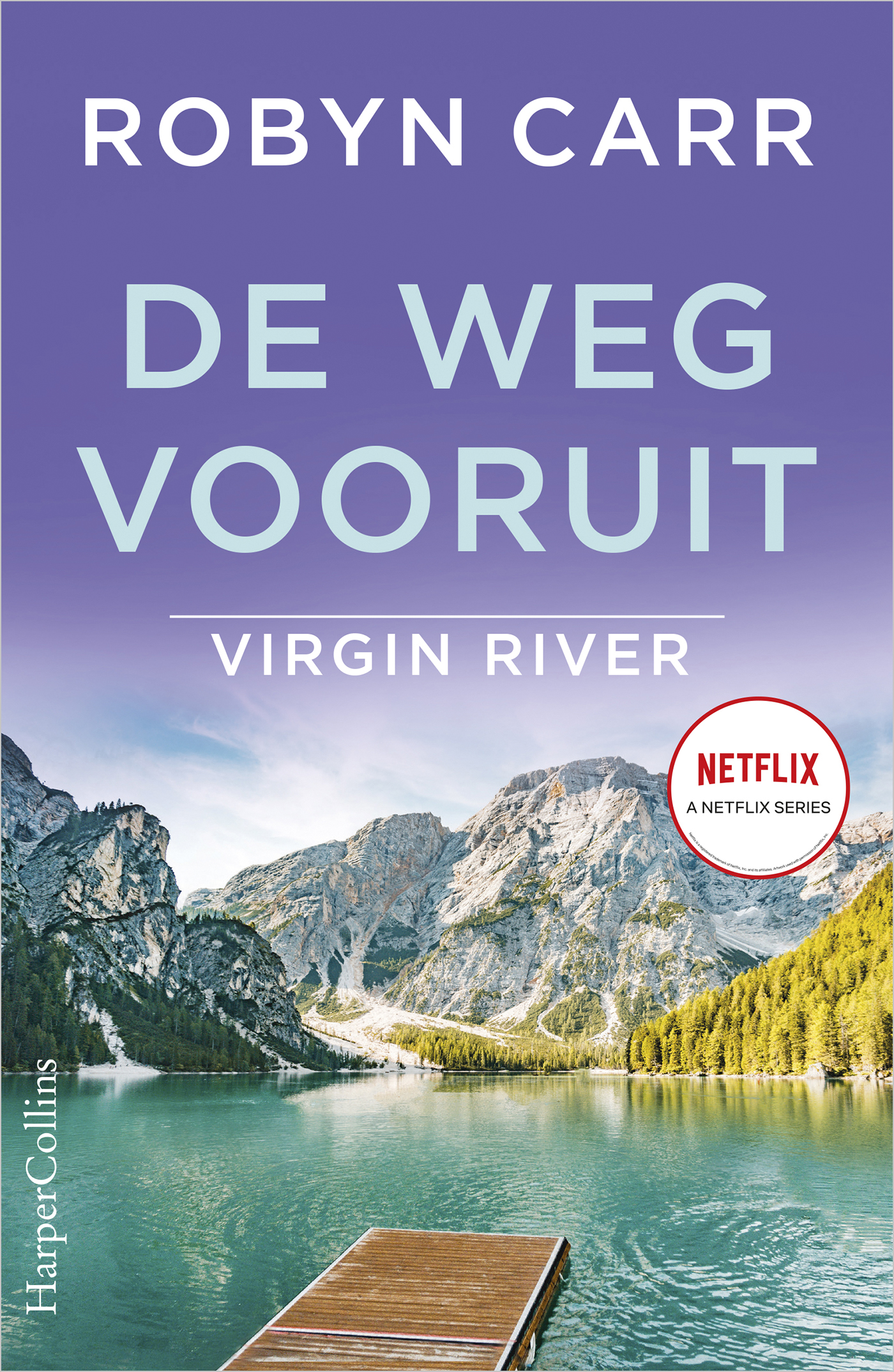 Omslag van De weg vooruit