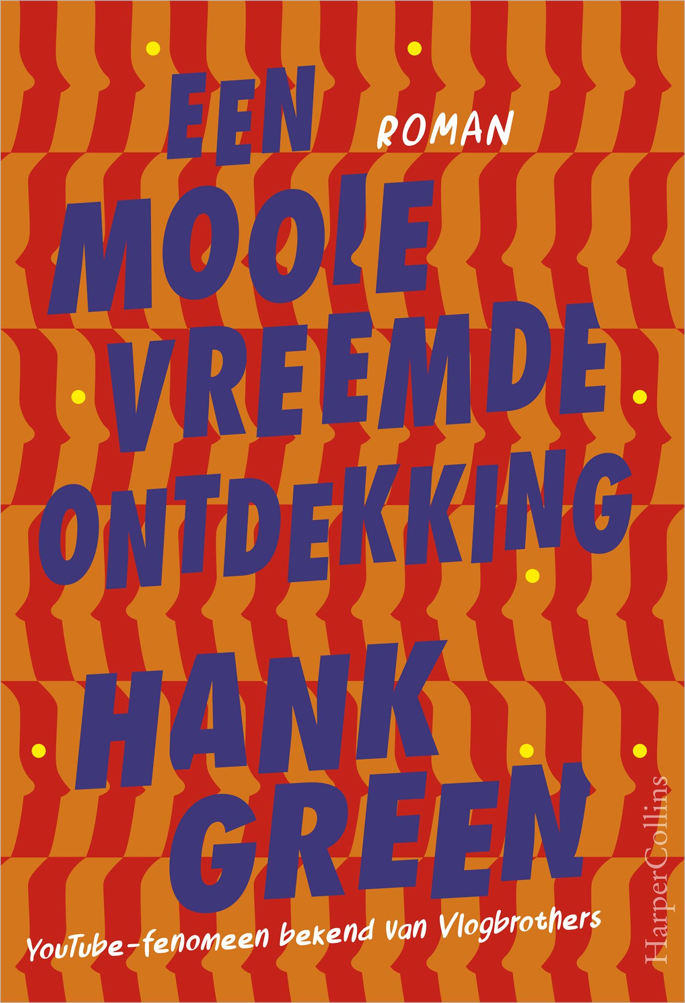 Omslag van Een mooie vreemde ontdekking