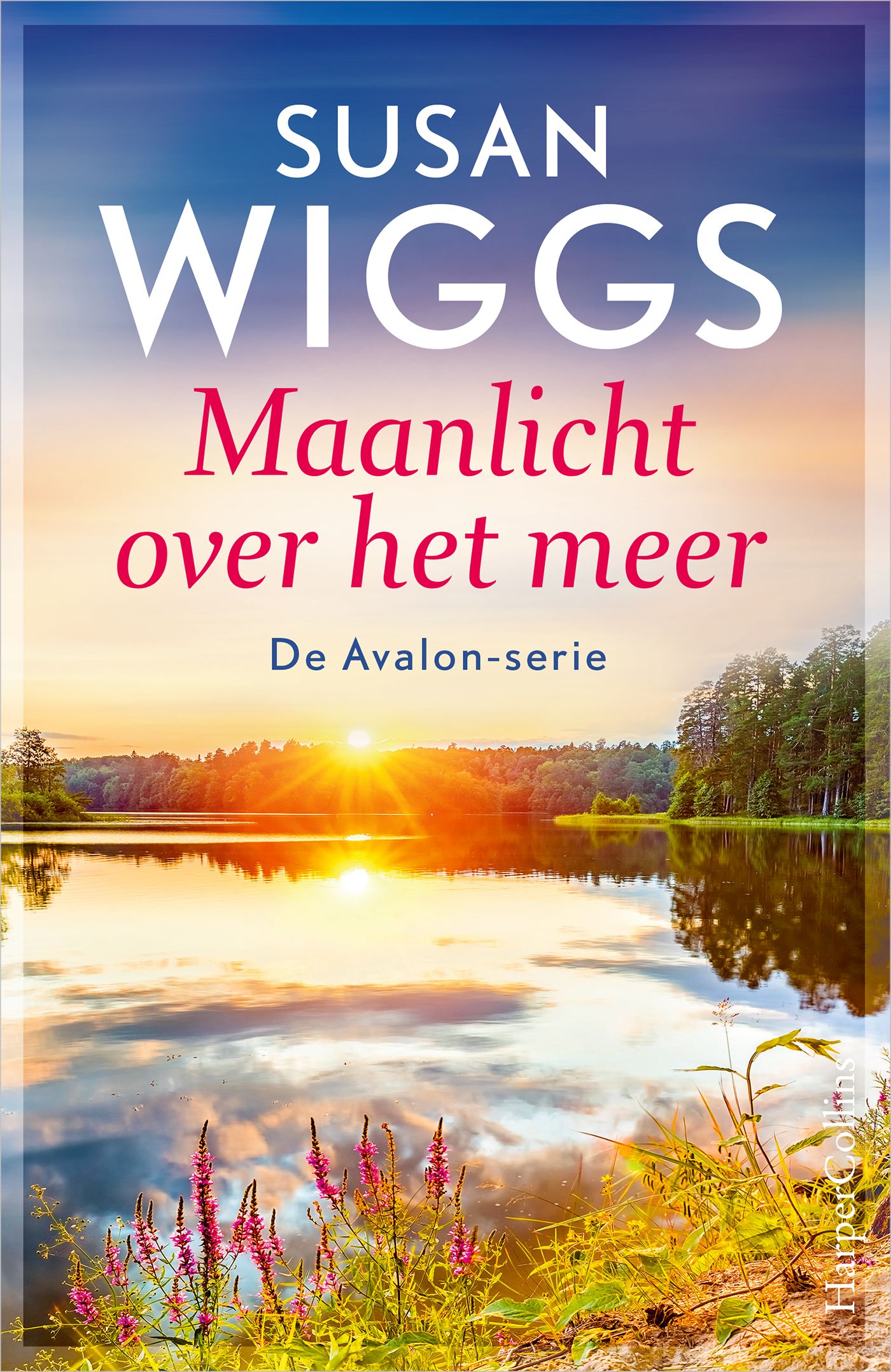 Omslag van Maanlicht over het meer