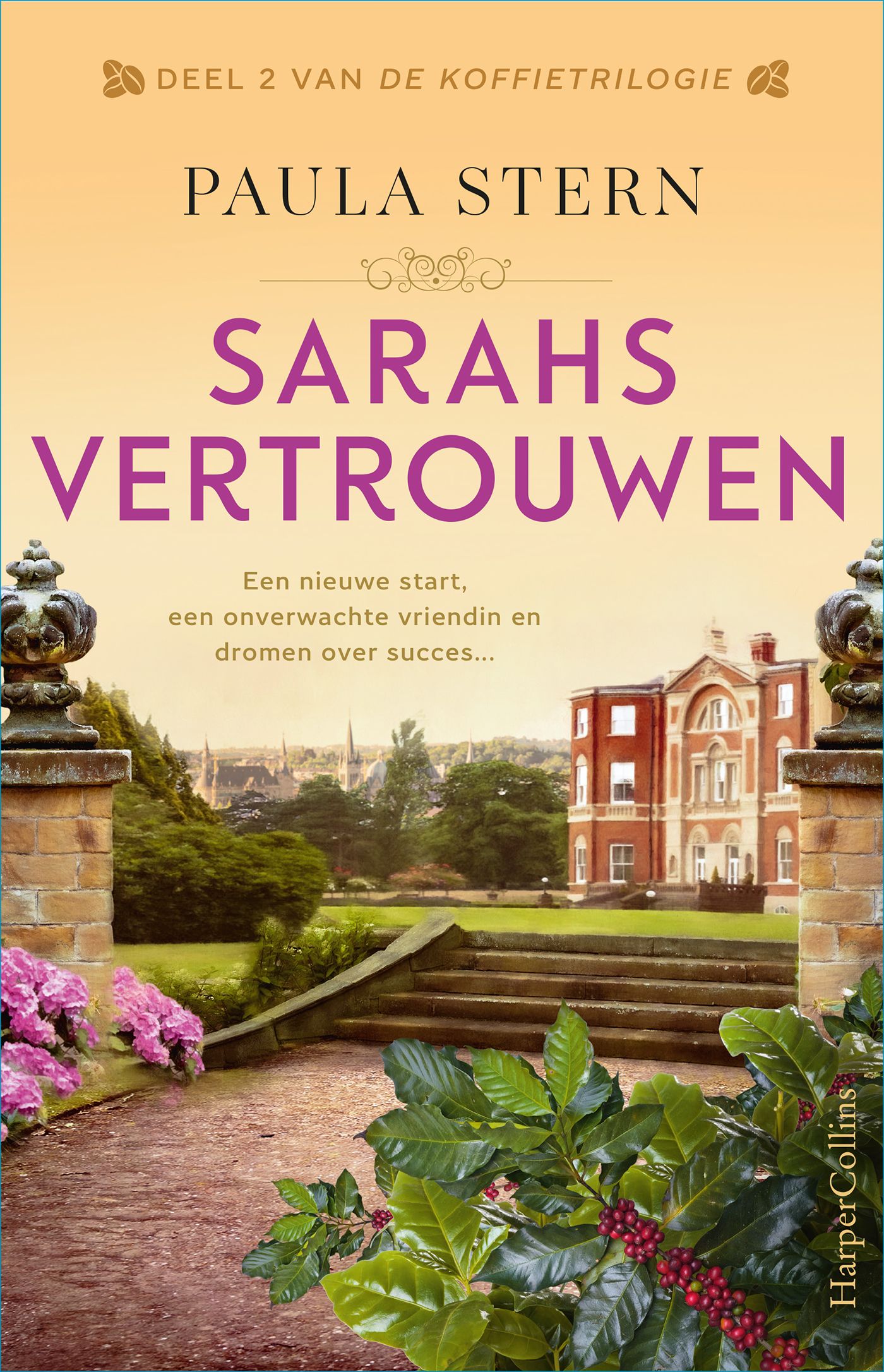Omslag van Sarahs vertrouwen