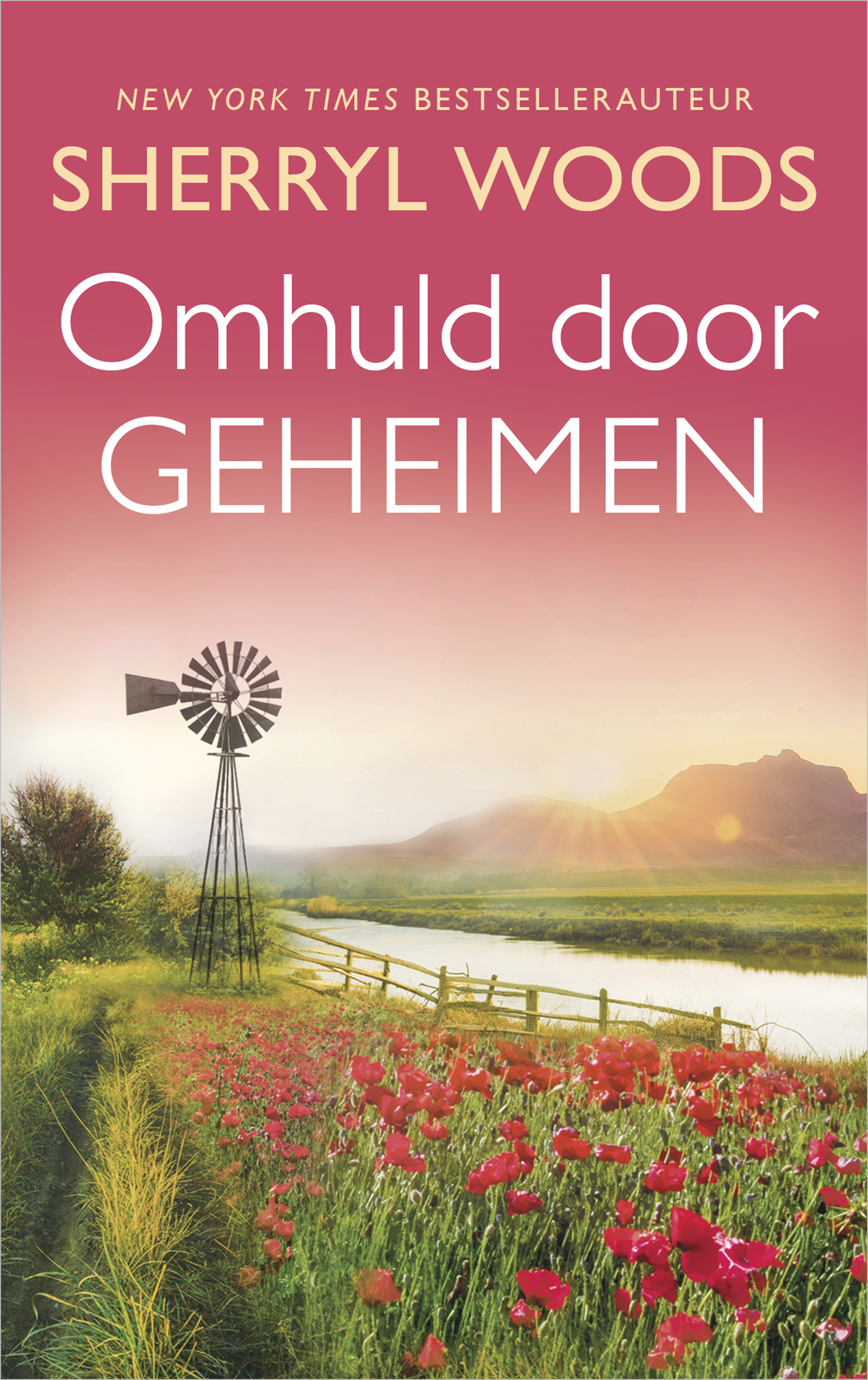 Omslag van Omhuld door geheimen