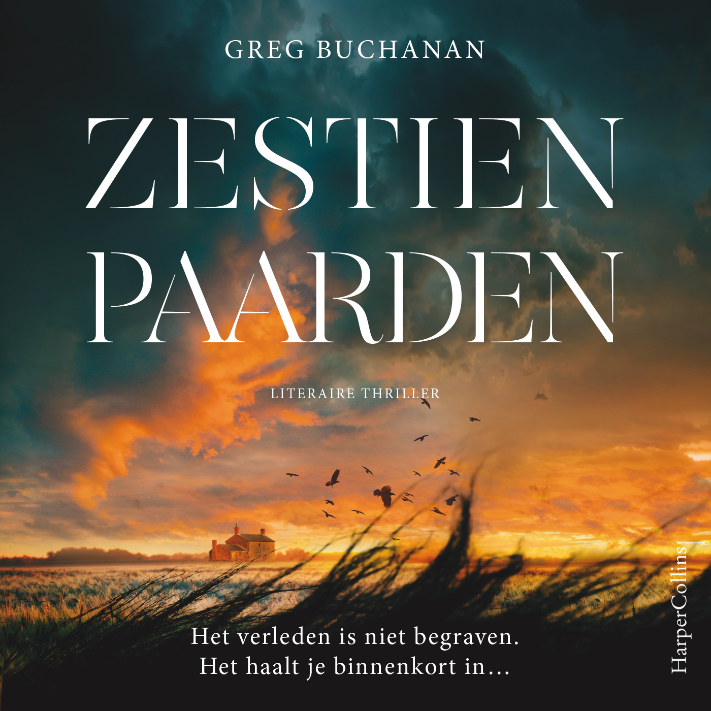 Omslag van Zestien paarden