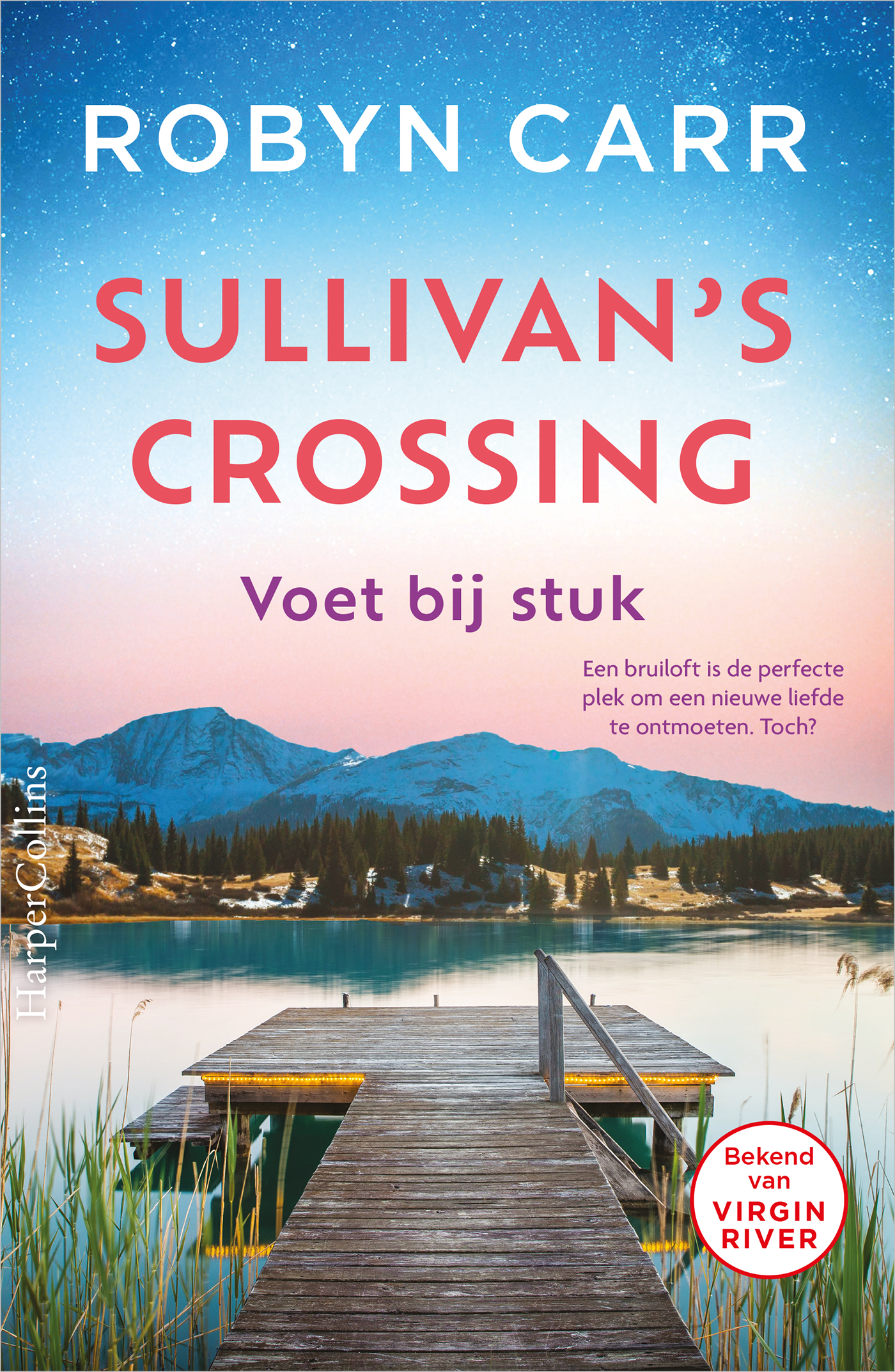 Omslag van Voet bij stuk