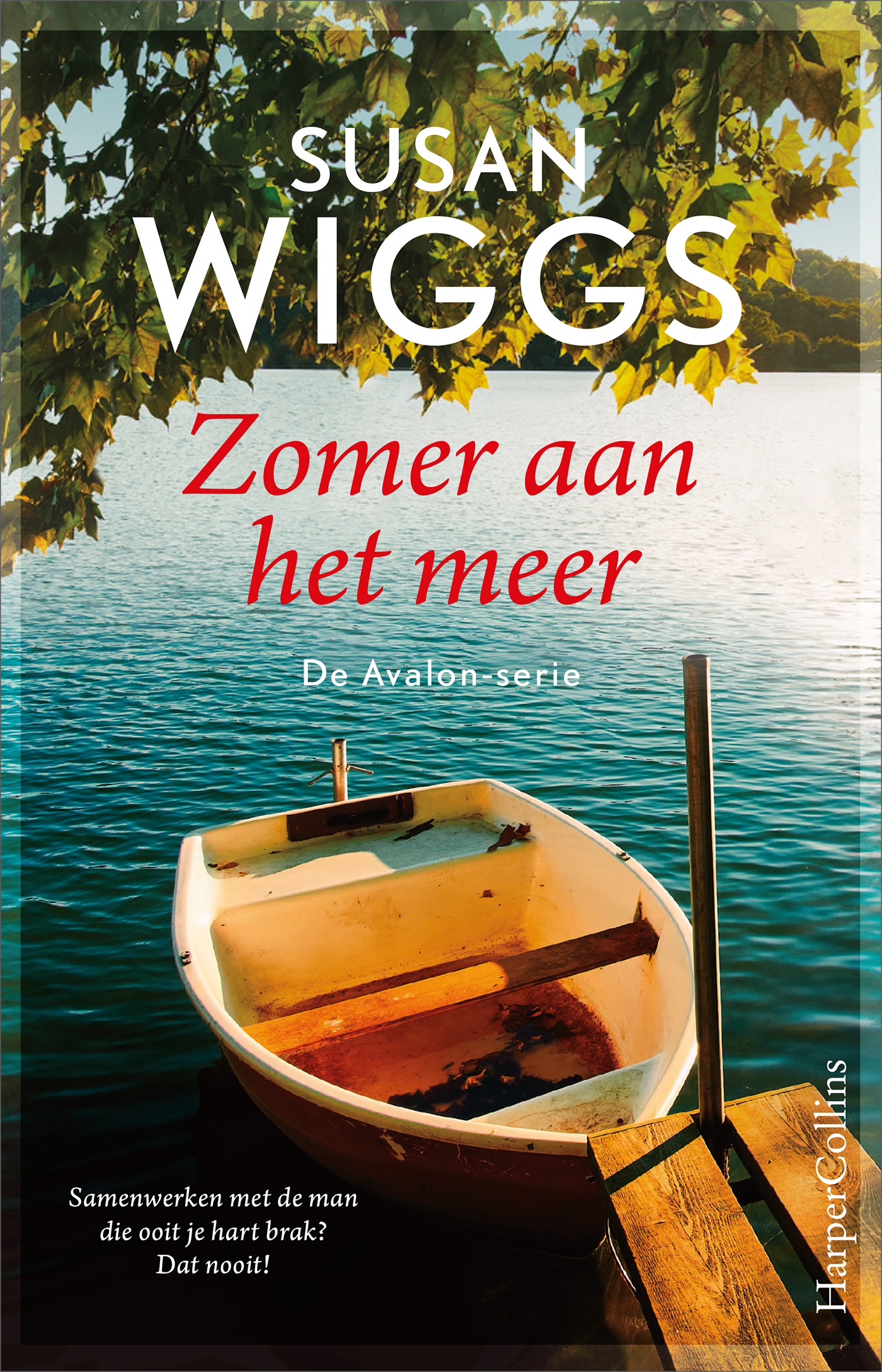 Omslag van Zomer aan het meer