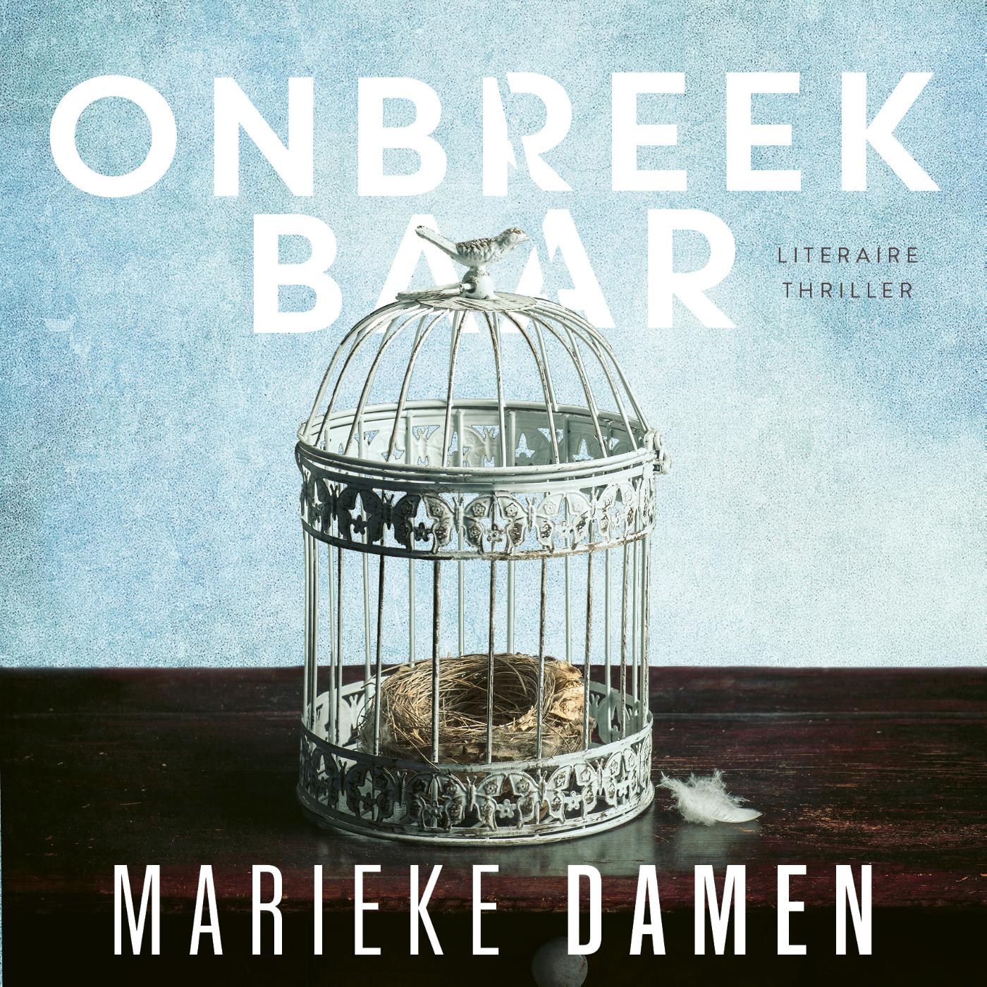 Omslag van Onbreekbaar