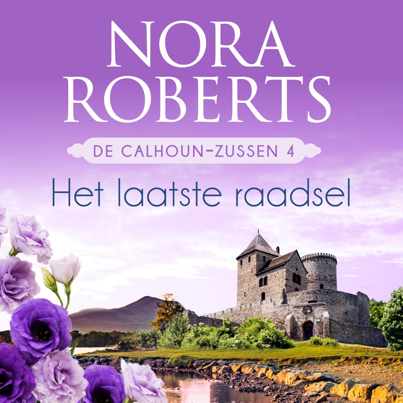 Omslag van Het laatste raadsel