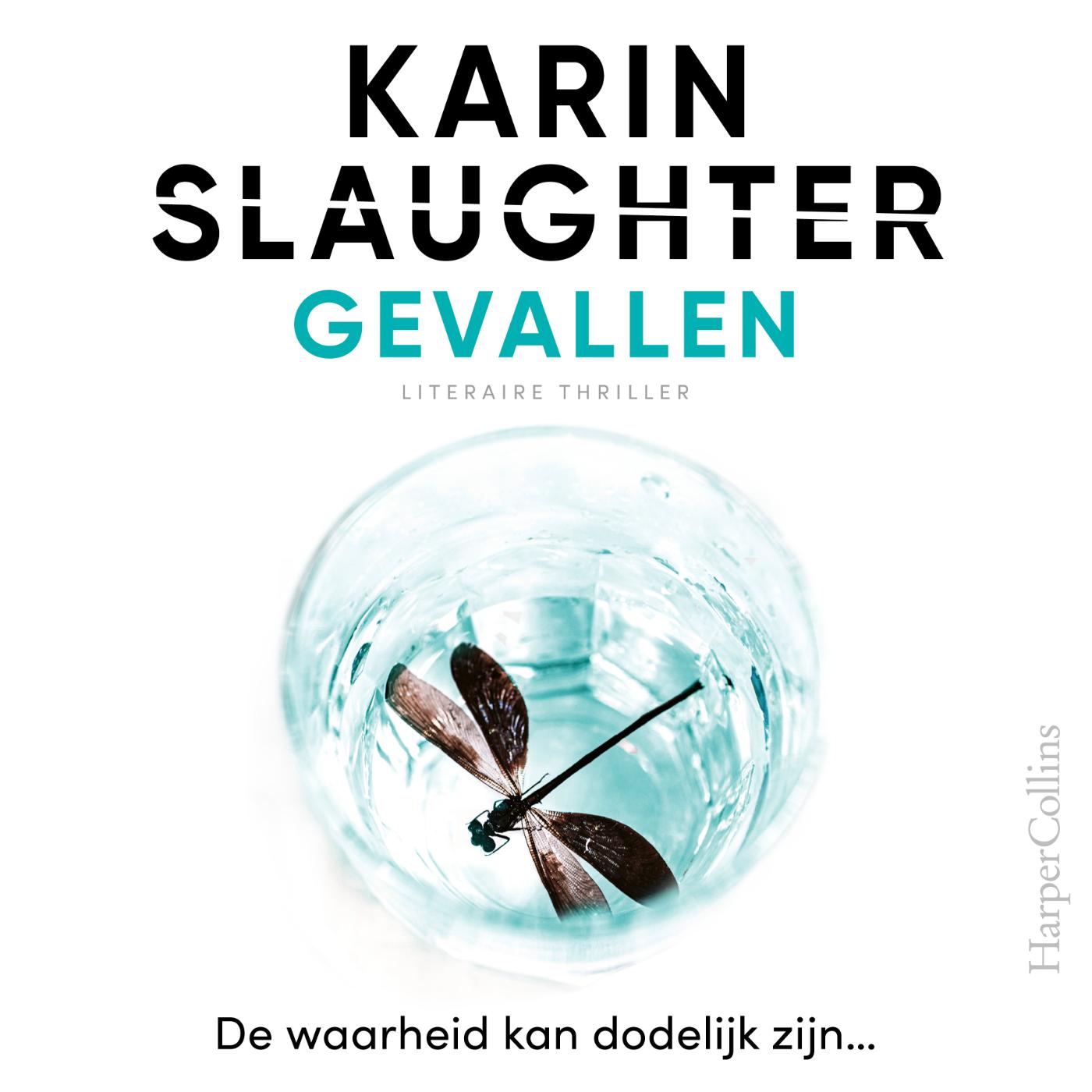 Omslag van Gevallen