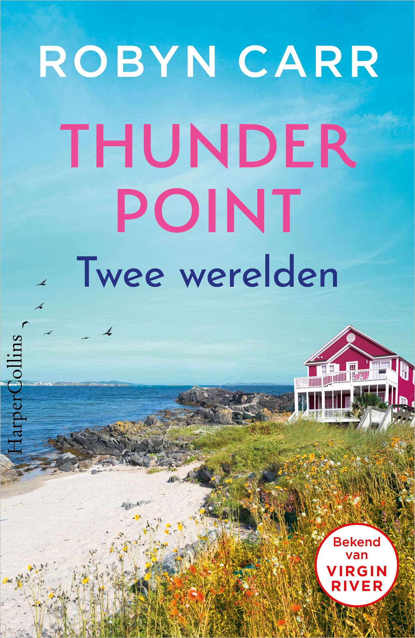 Omslag van Twee werelden
