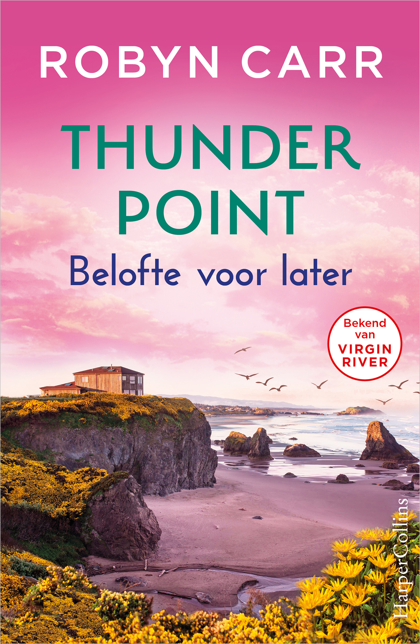 Omslag van Belofte voor later