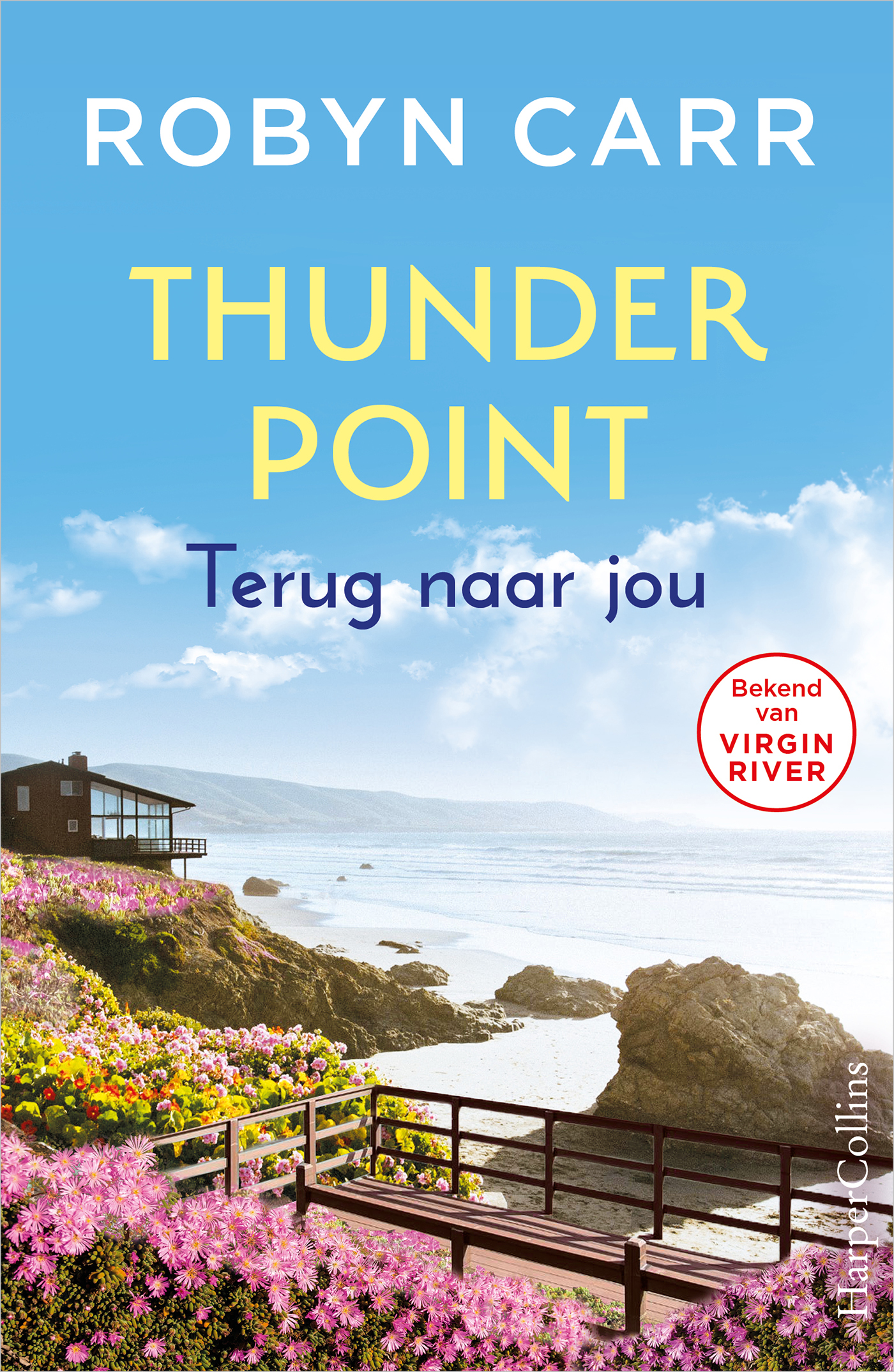 Omslag van Terug naar jou