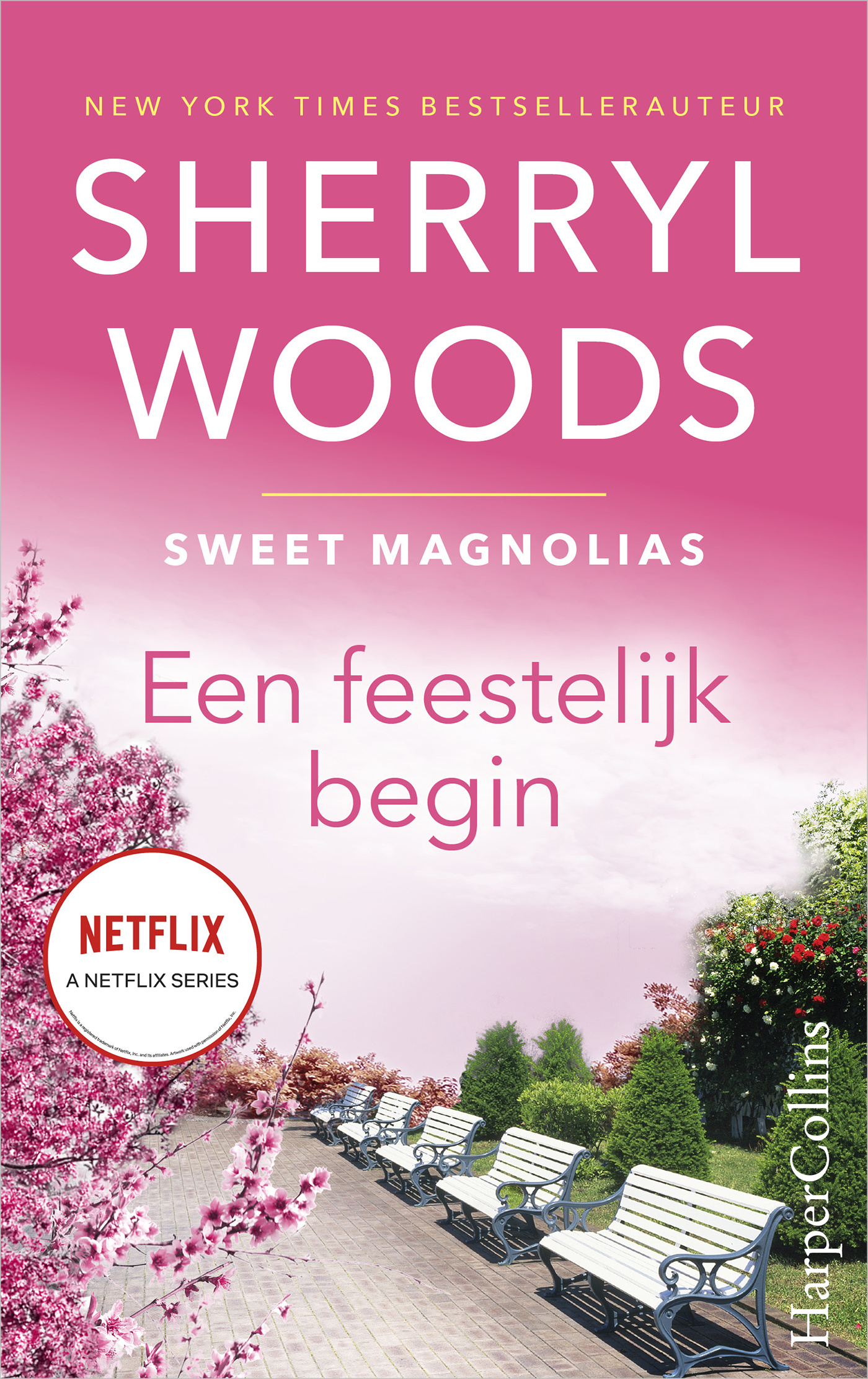 Omslag van Een feestelijk begin