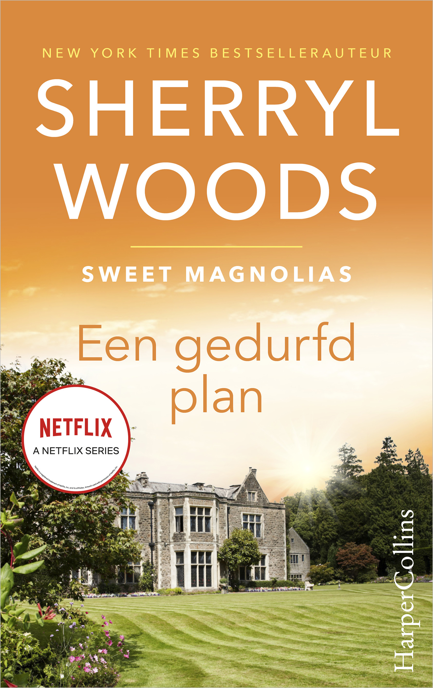 Omslag van Een gedurfd plan