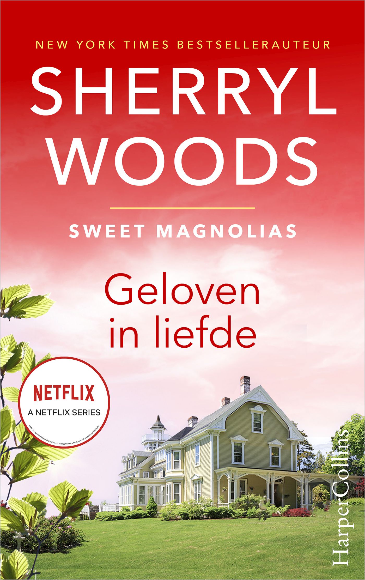 Omslag van Geloven in de liefde