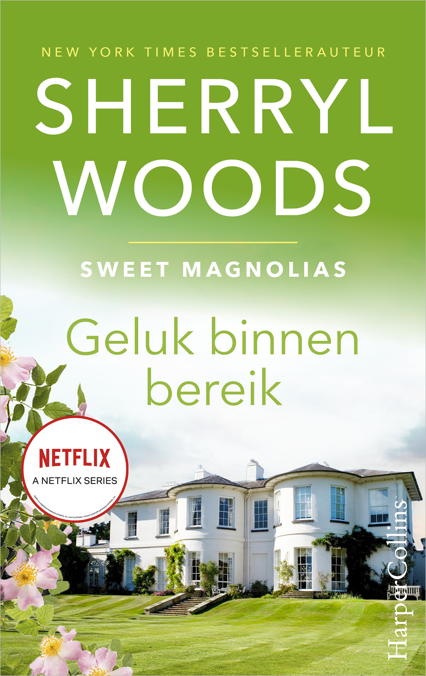 Omslag van Geluk binnen bereik