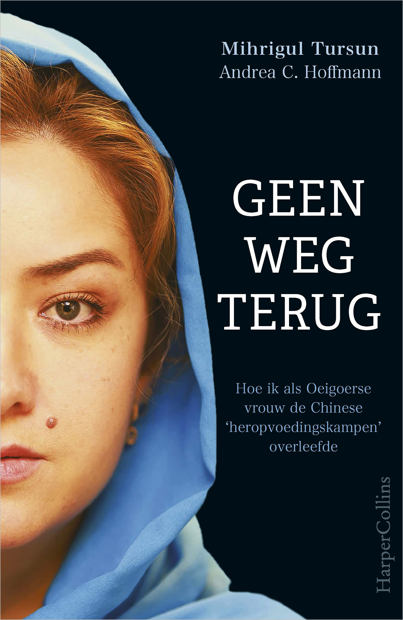 Omslag van Geen weg terug