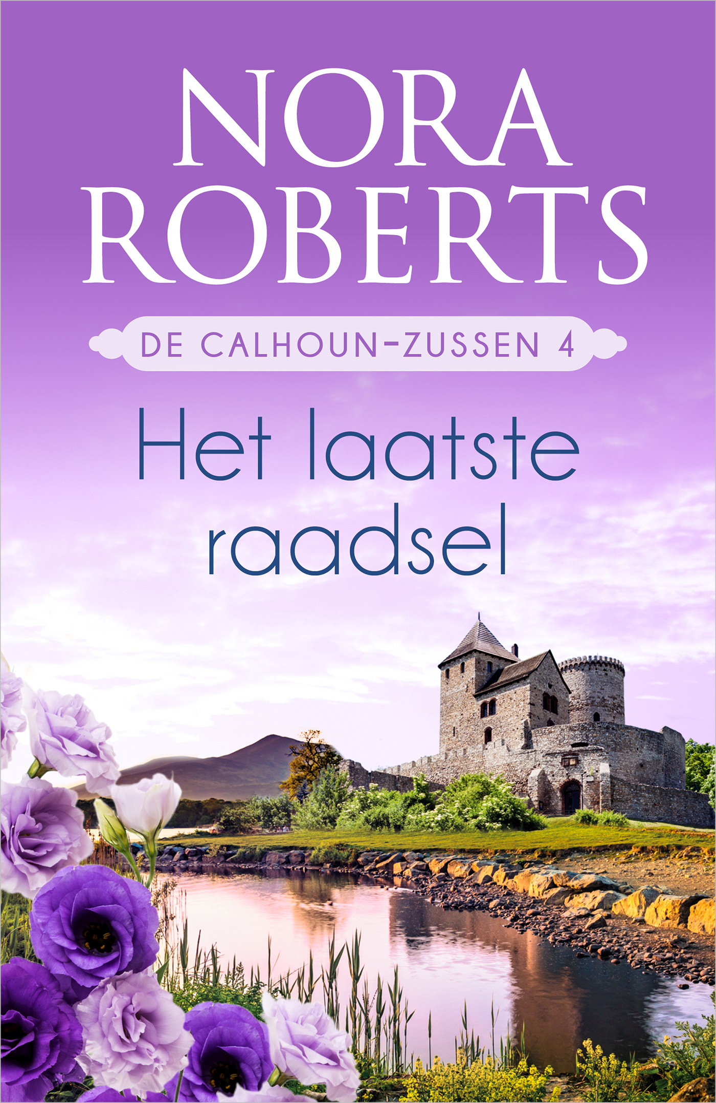 Omslag van Het laatste raadsel