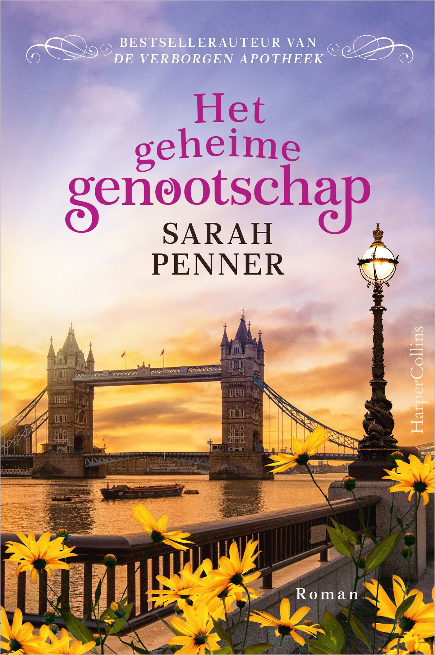 Omslag van Het geheime genootschap