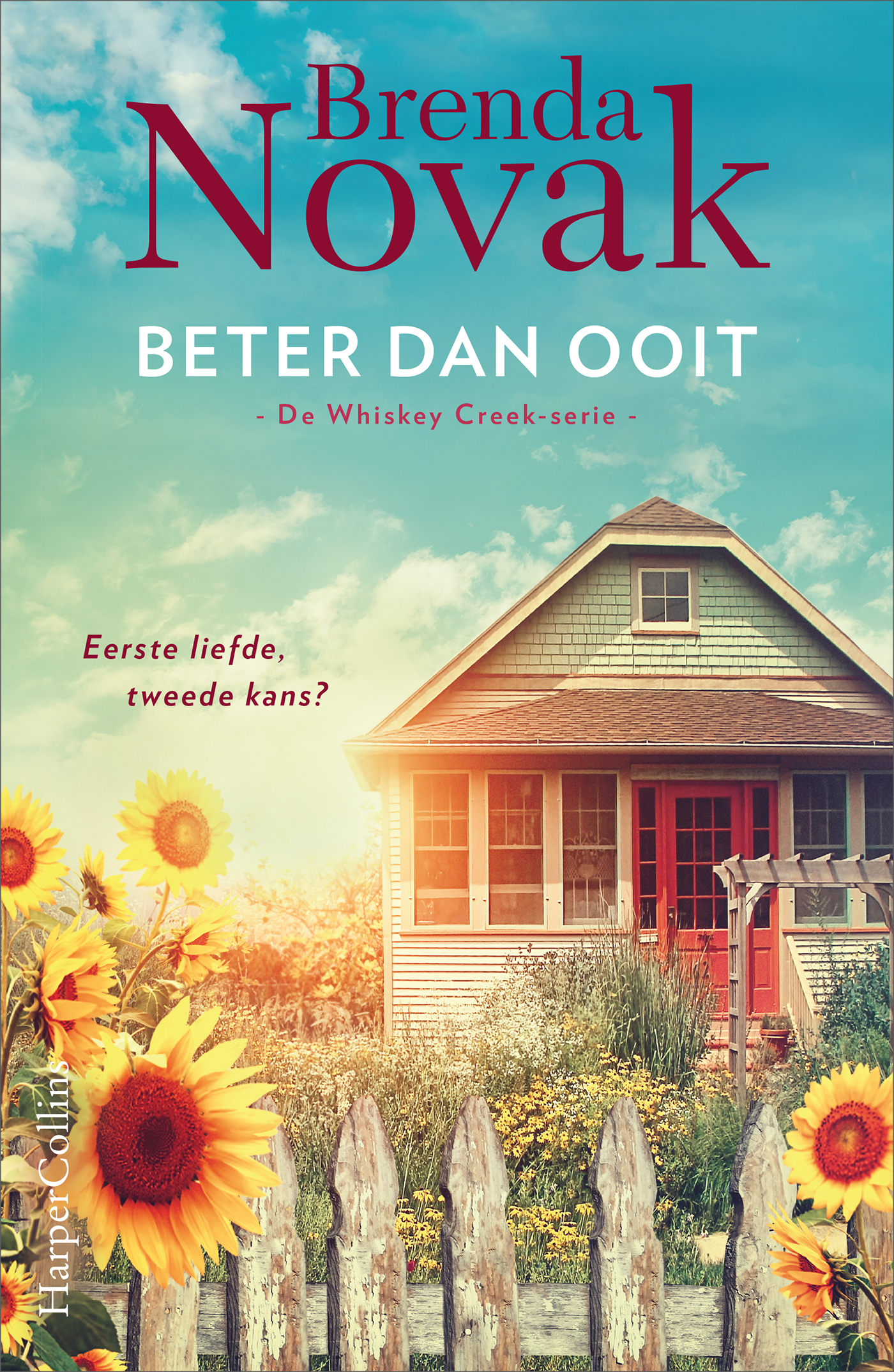 Omslag van Beter dan ooit