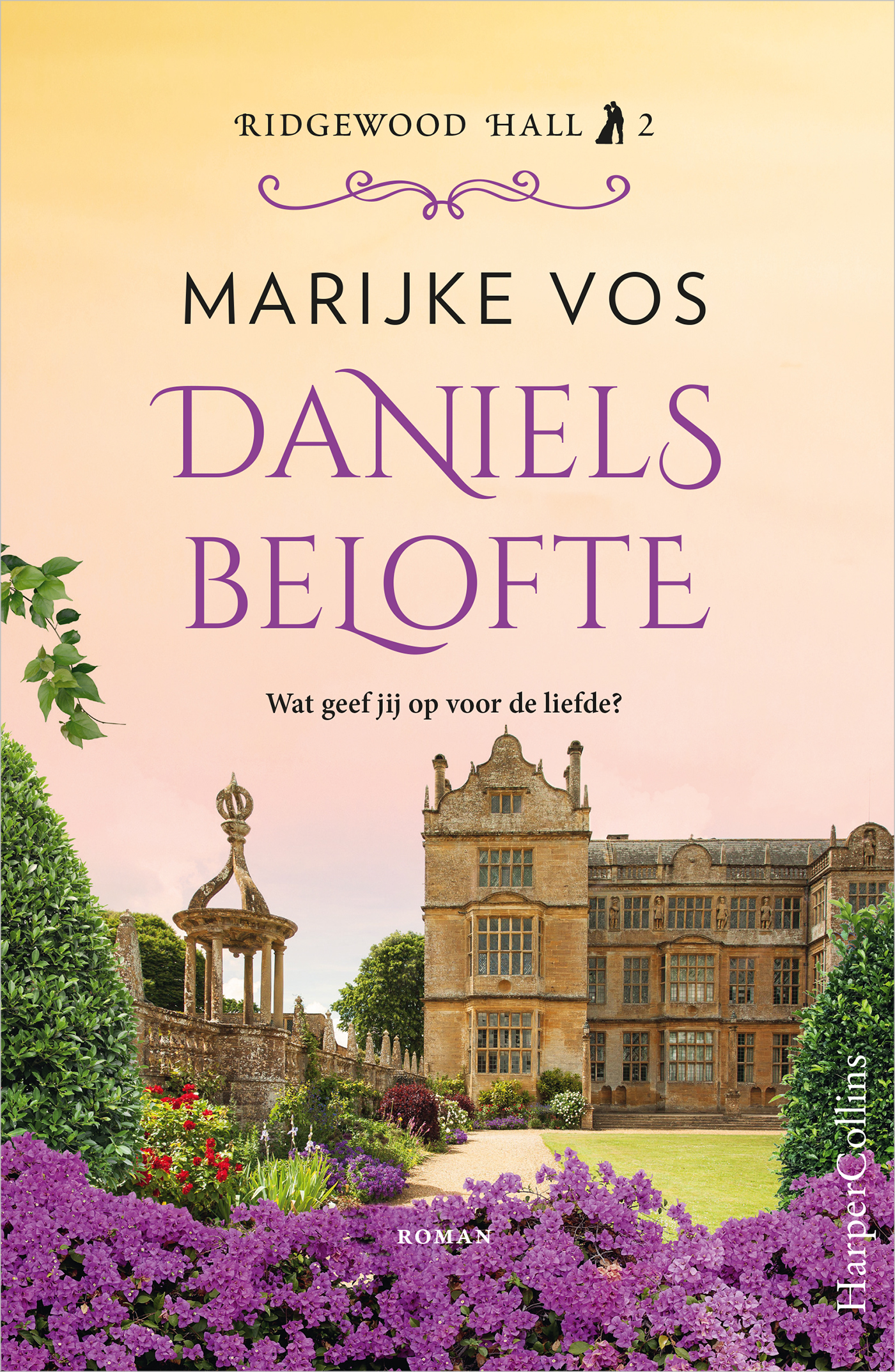 Omslag van Daniels belofte