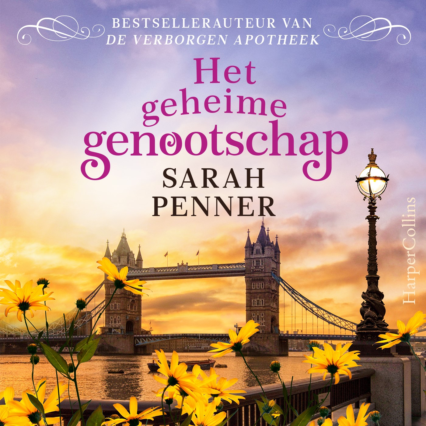 Omslag van Het geheime genootschap