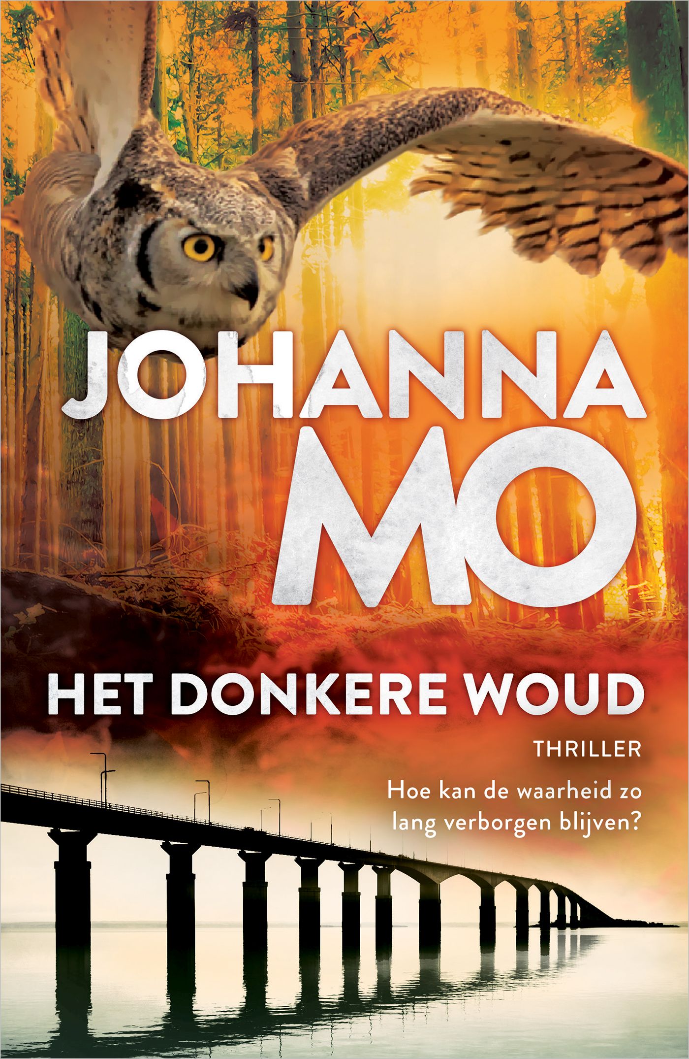 Omslag van Het donkere woud