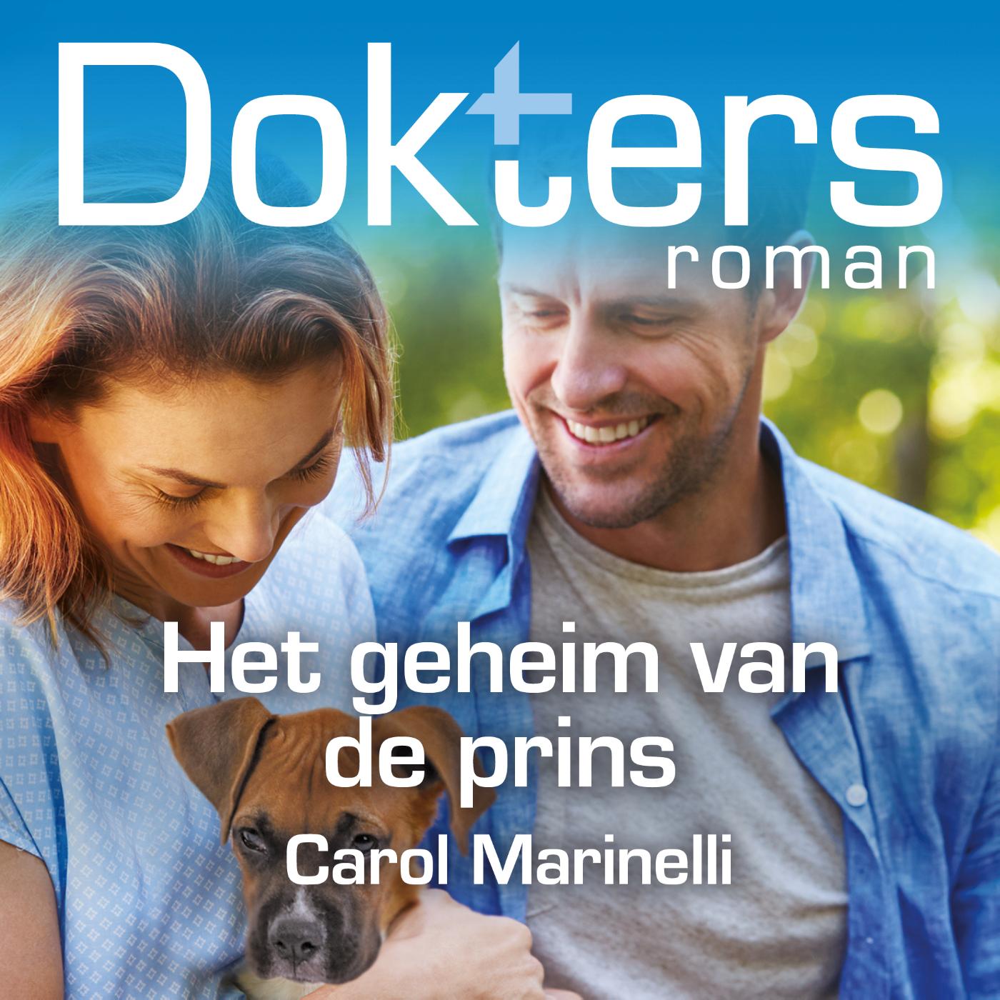 Omslag van Het geheim van de prins