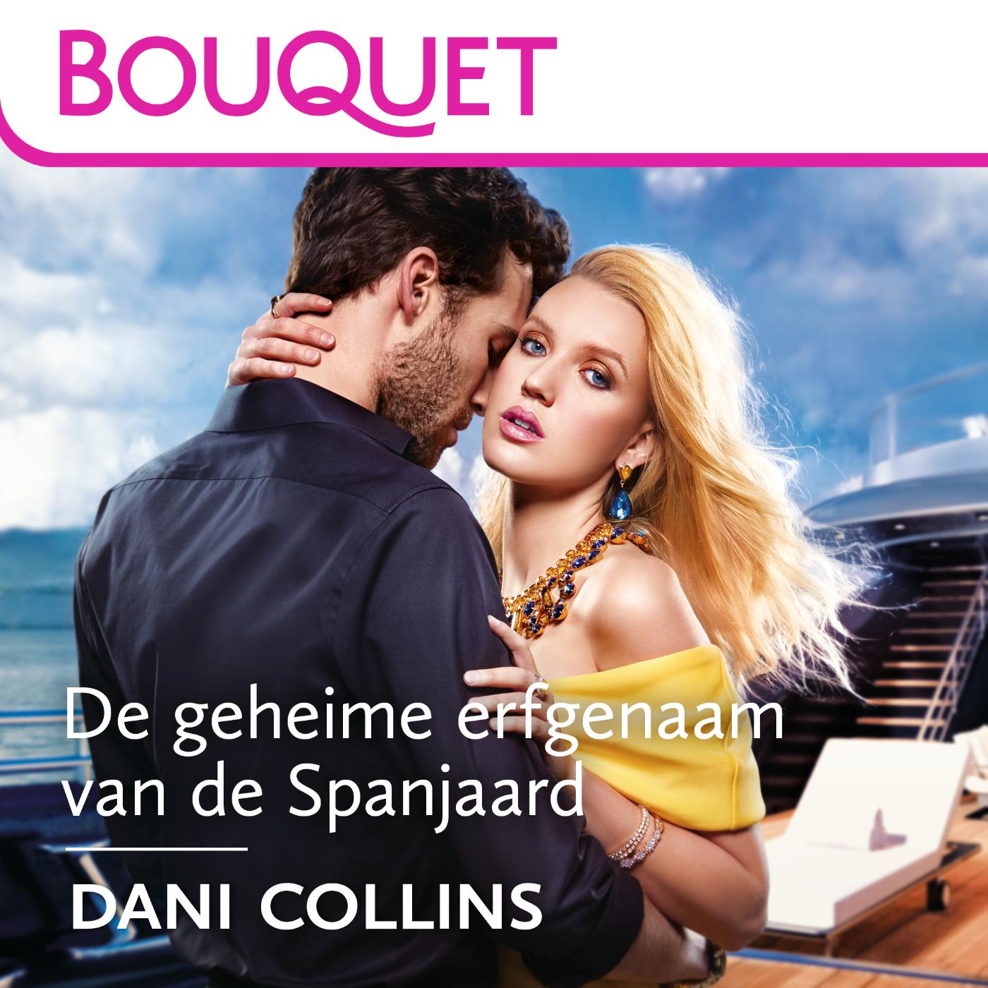Omslag van De geheime erfgenaam van de Spanjaard