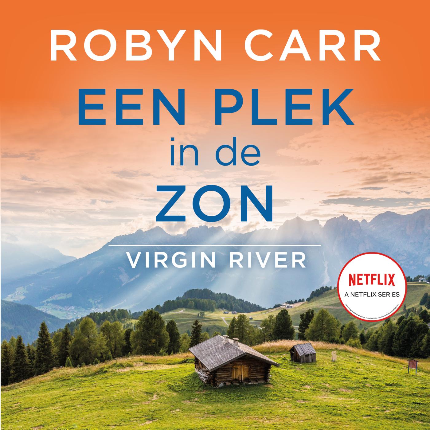 Omslag van Een plek in de zon