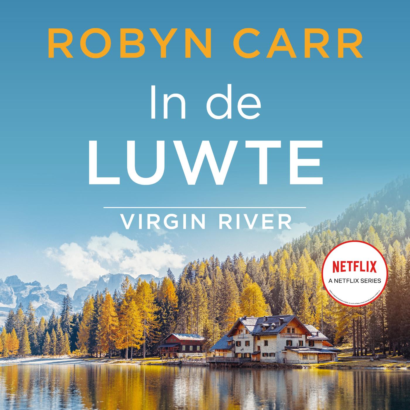 Omslag van In de luwte