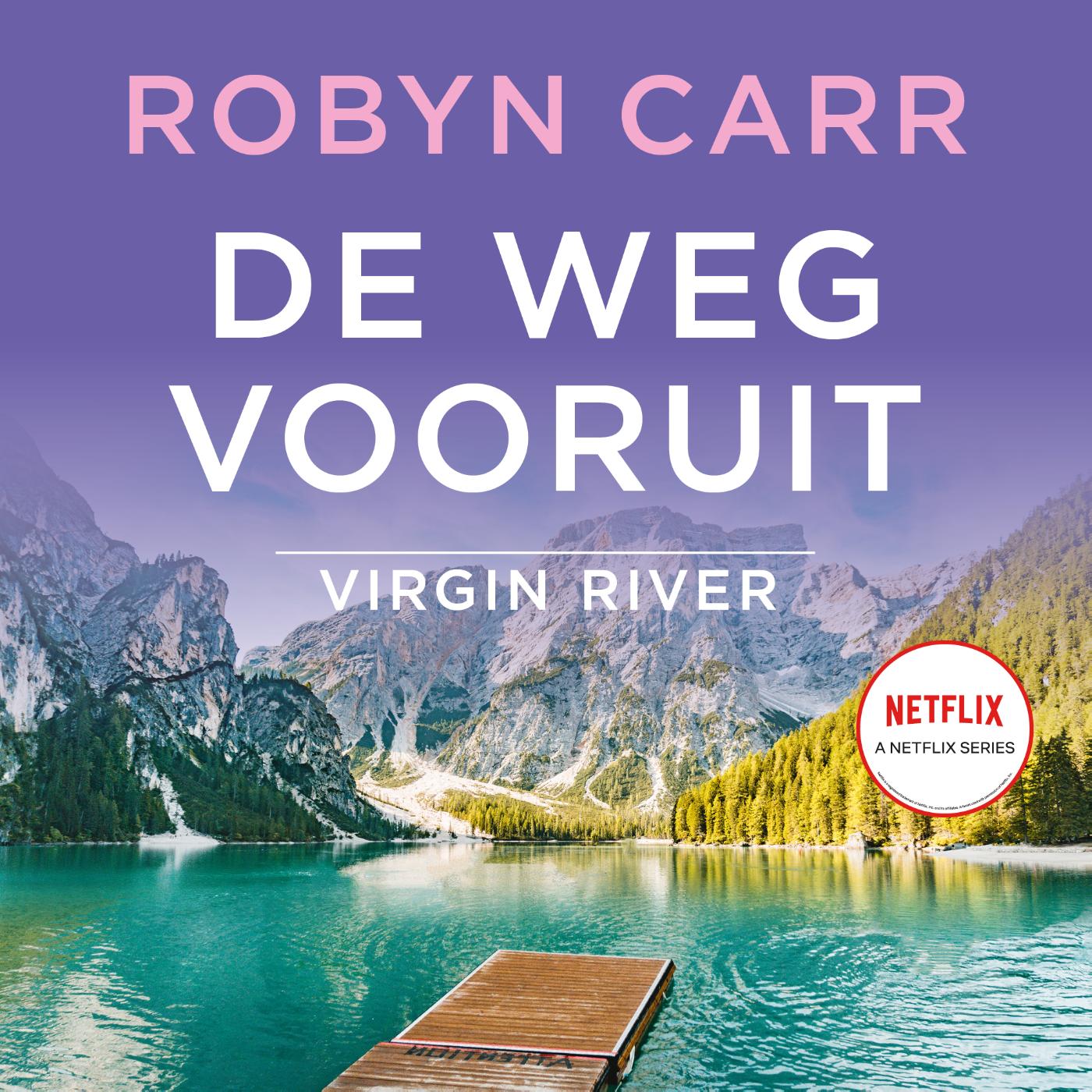 Omslag van De weg vooruit