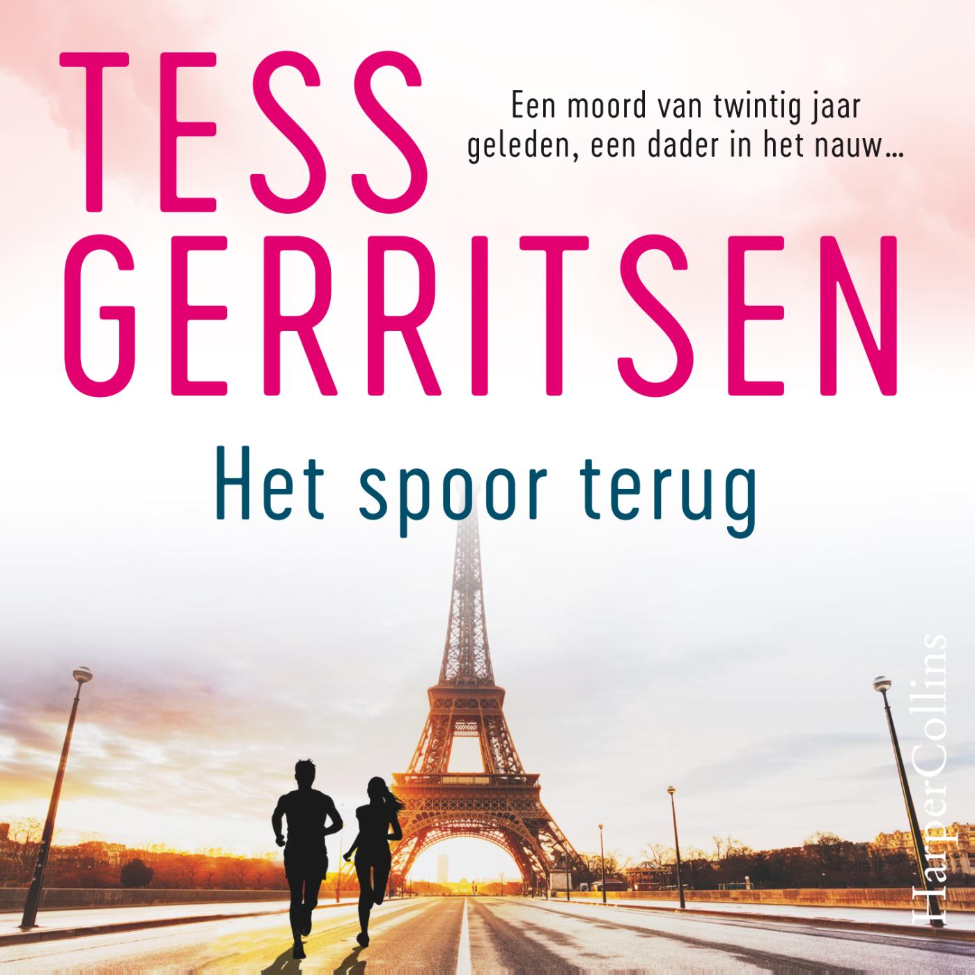 Omslag van Het spoor terug