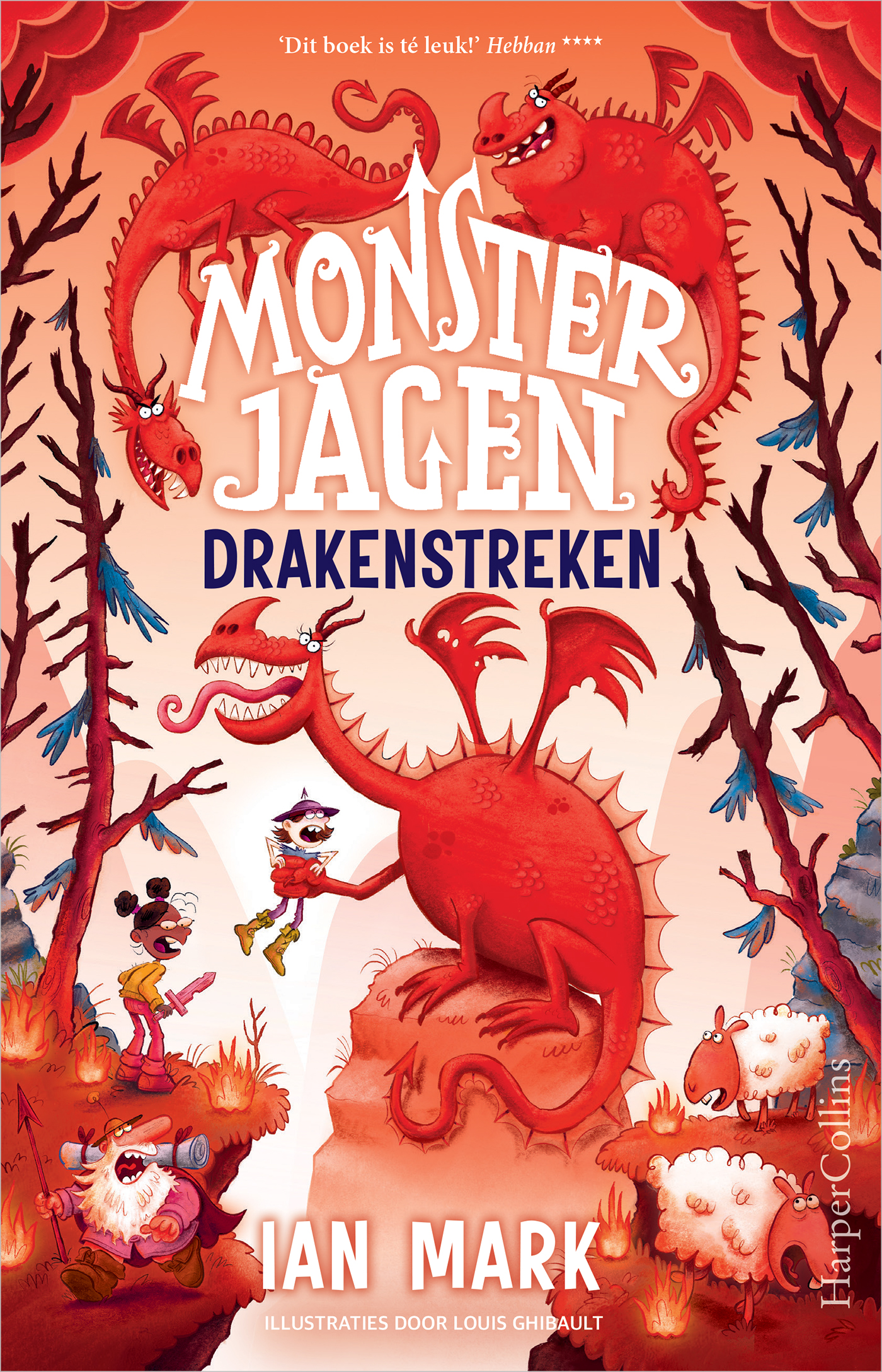 Omslag van Drakenstreken