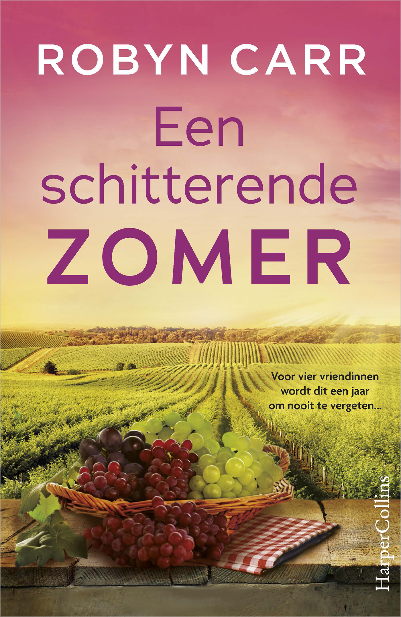 Omslag van Een schitterende zomer