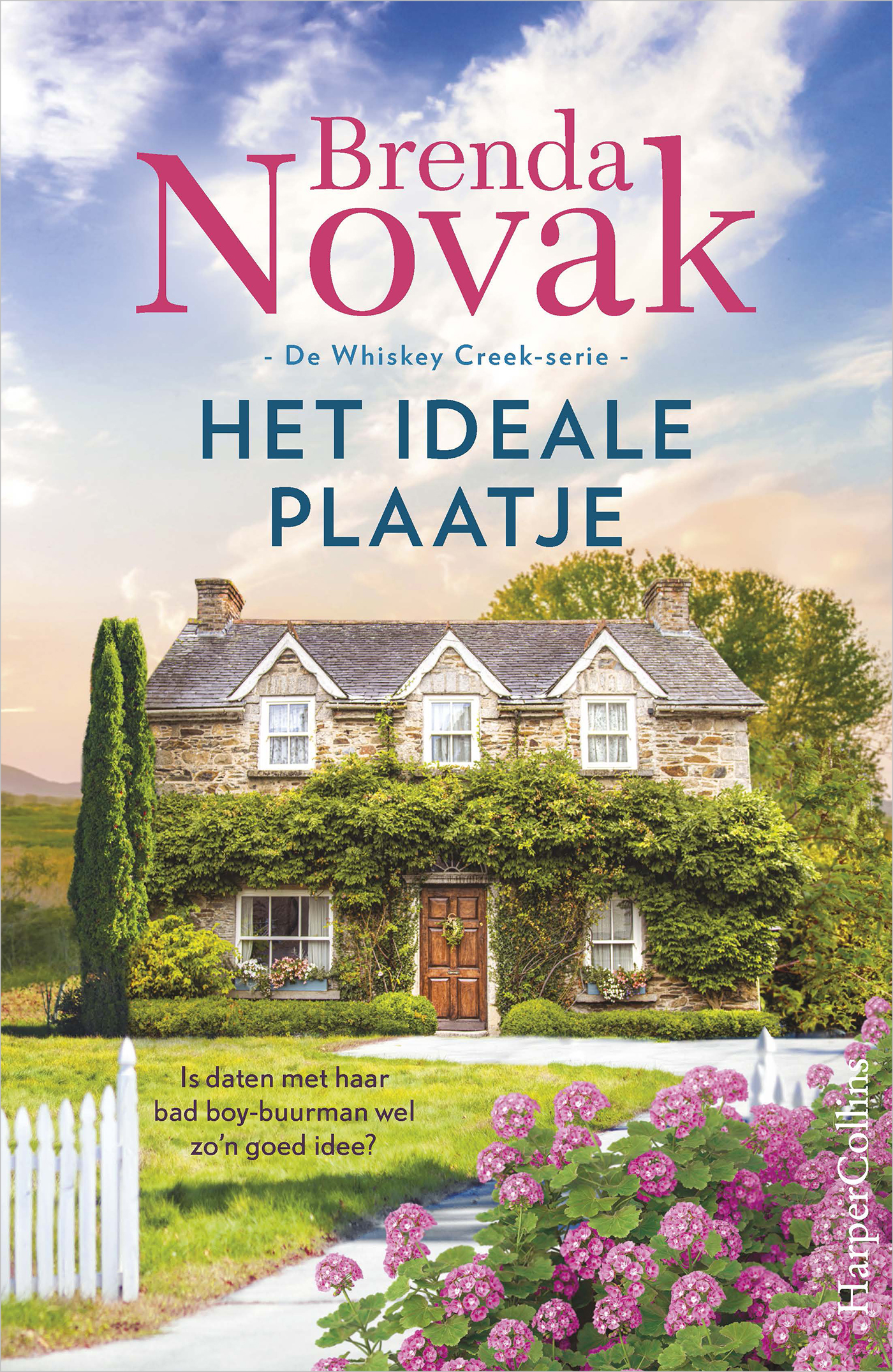 Omslag van Het ideale plaatje