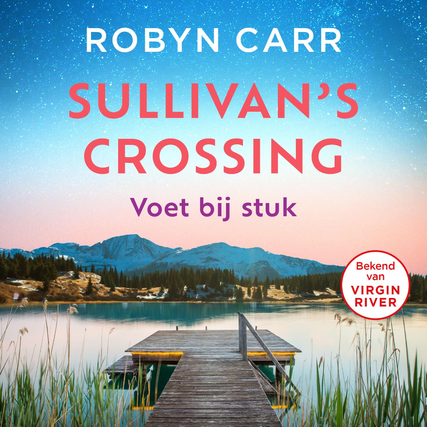 Omslag van Voet bij stuk