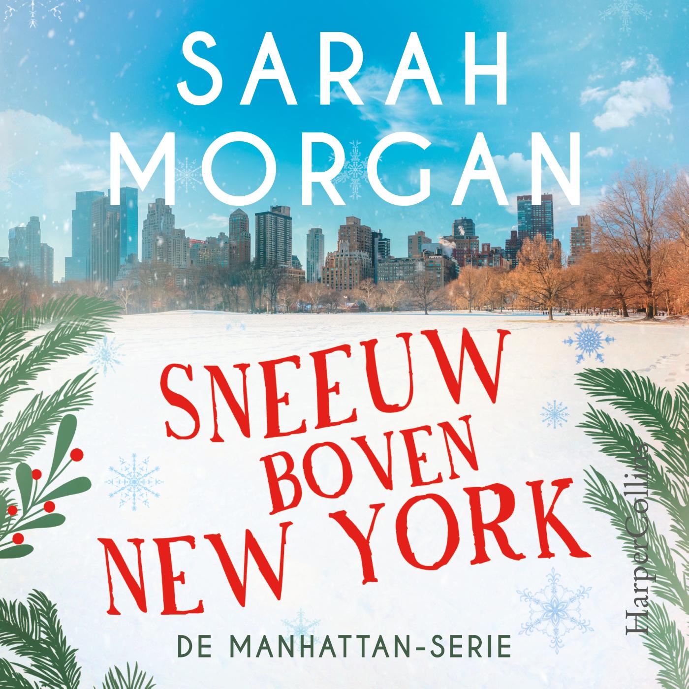 Omslag van Sneeuw boven New York