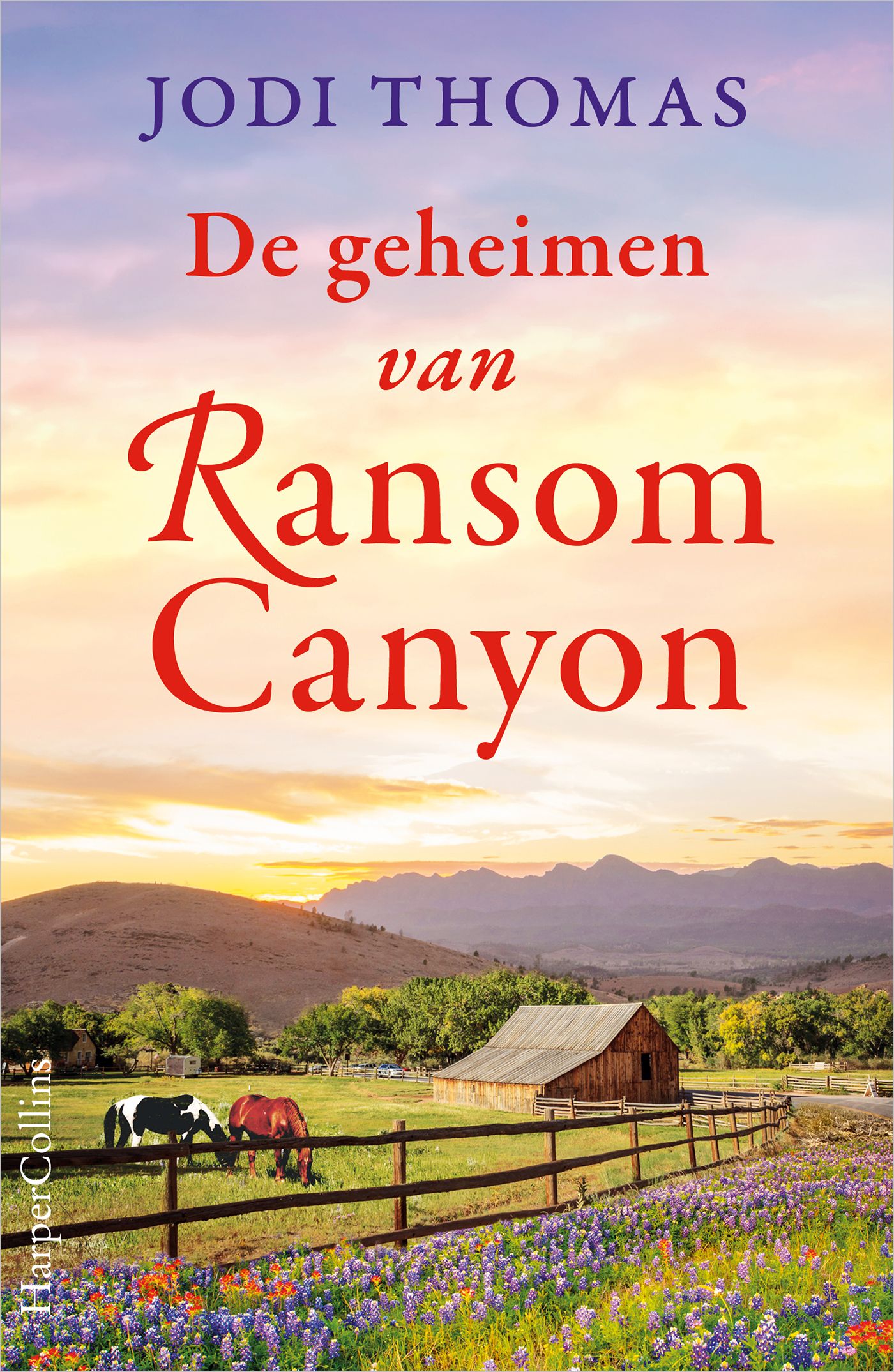 Omslag van De geheimen van Ransom Canyon