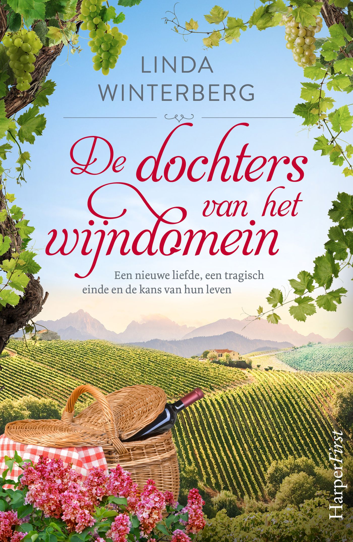 Omslag van De dochters van het wijndomein