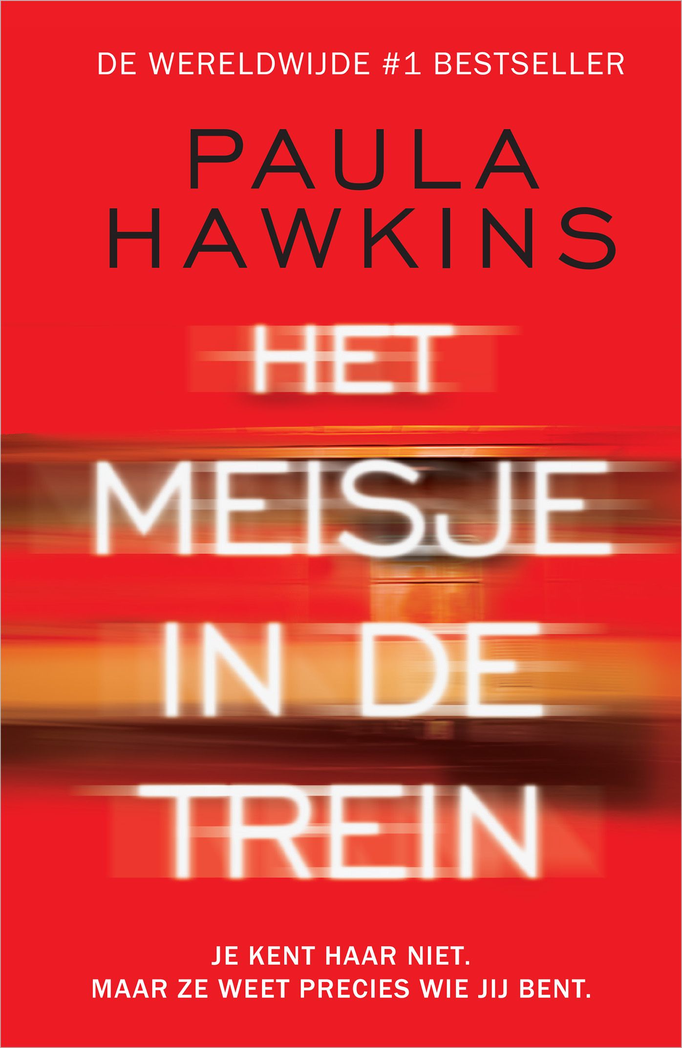 Omslag van Het meisje in de trein