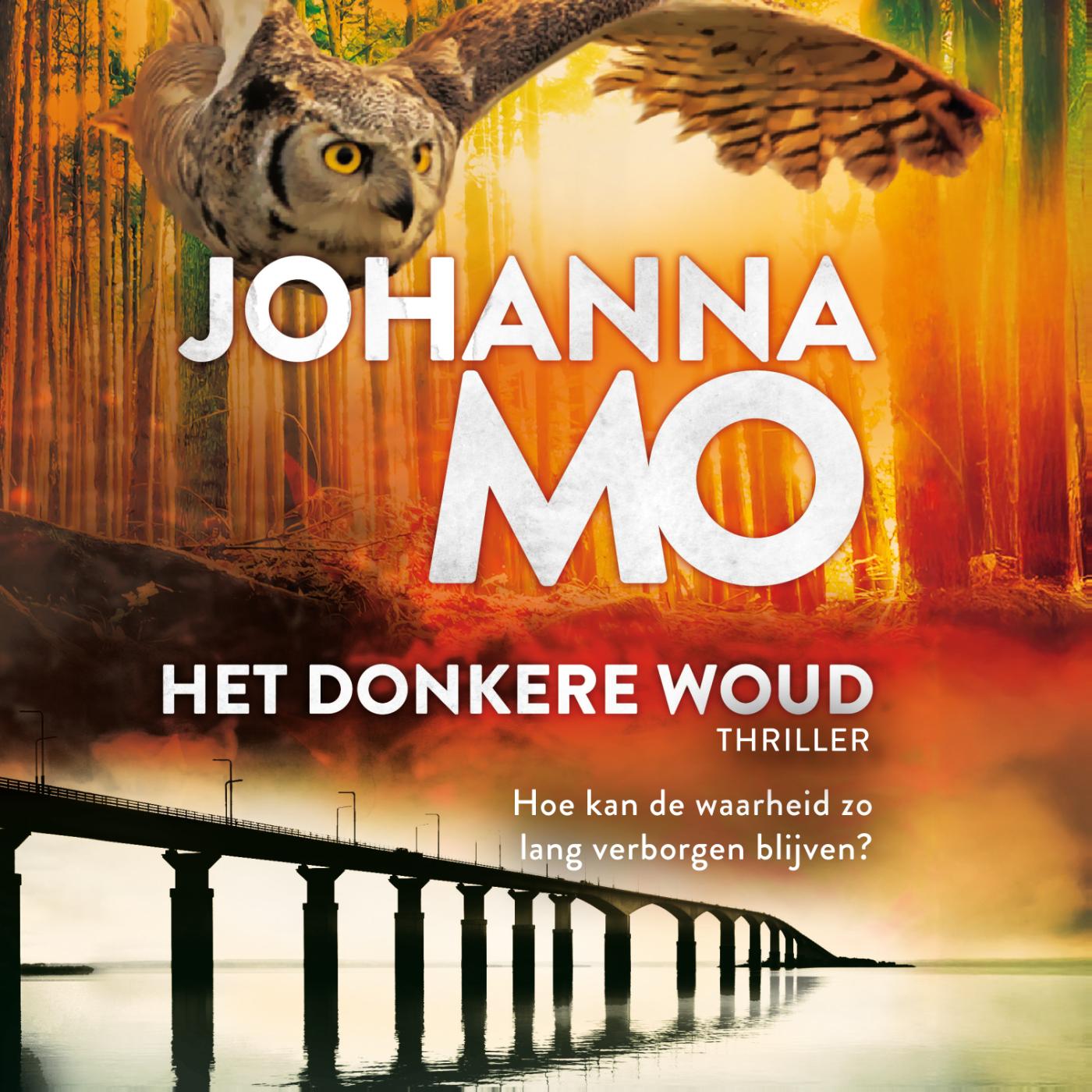 Omslag van Het donkere woud