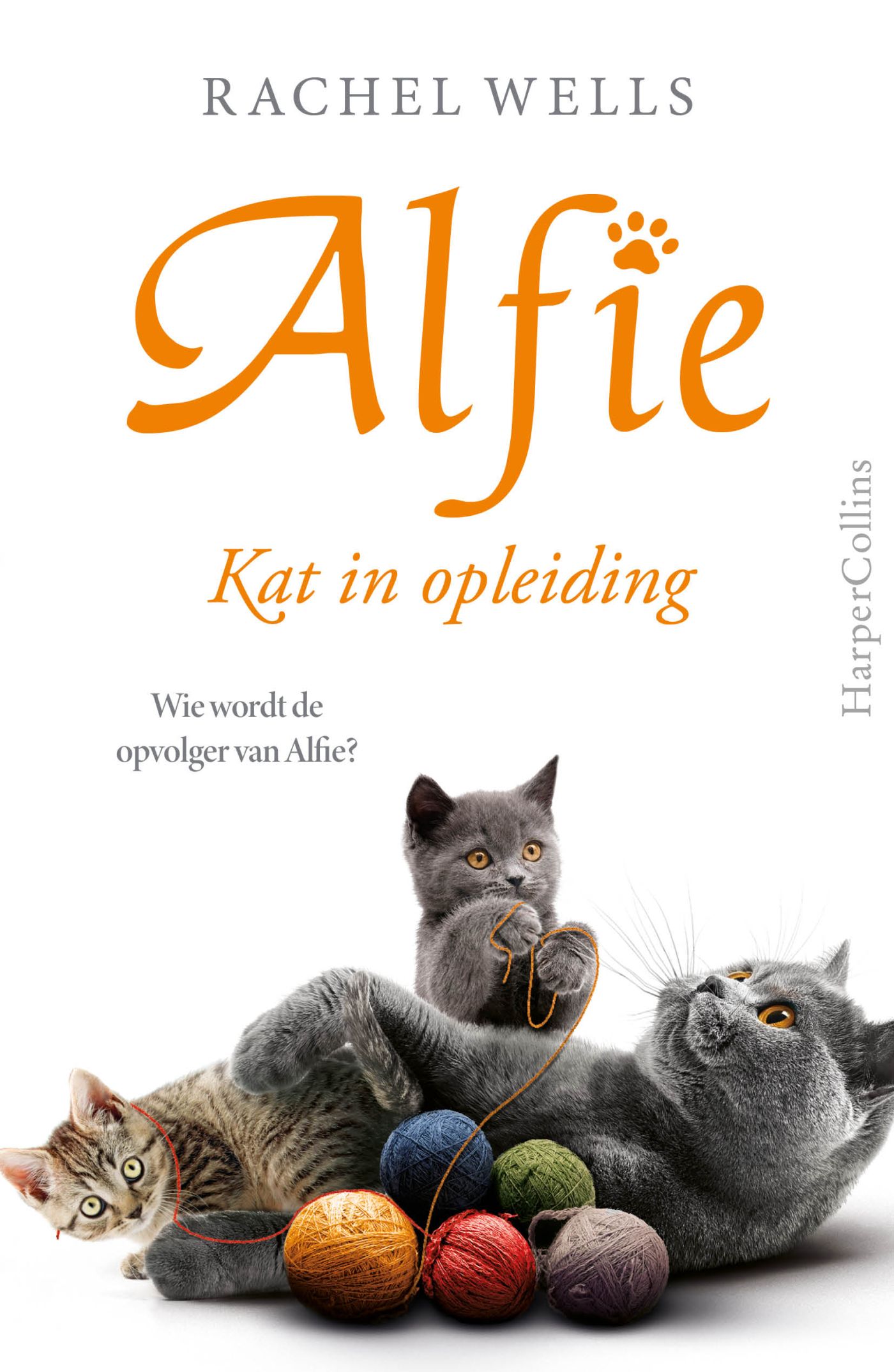 Omslag van Kat in opleiding