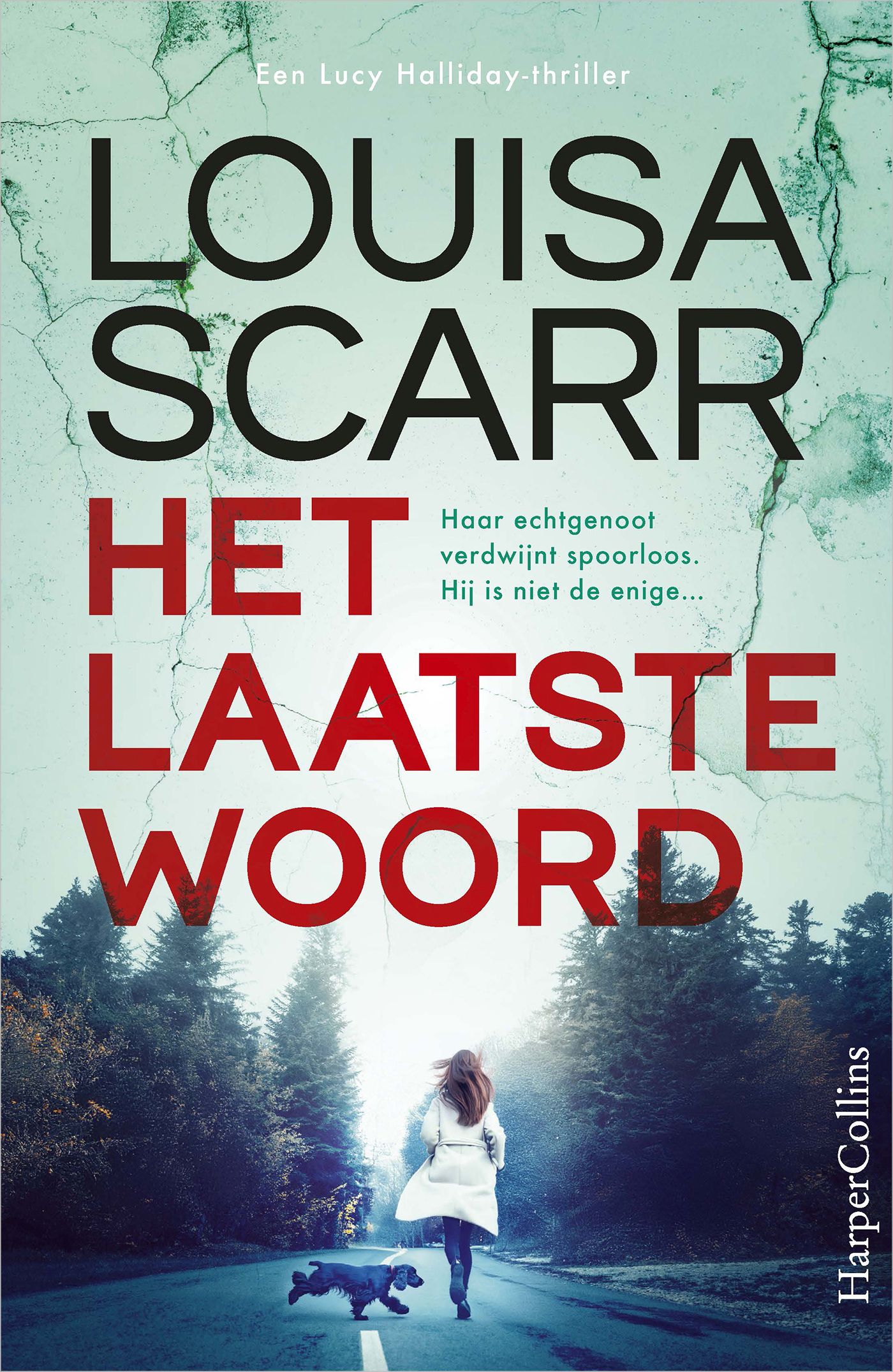 Omslag van Het laatste woord