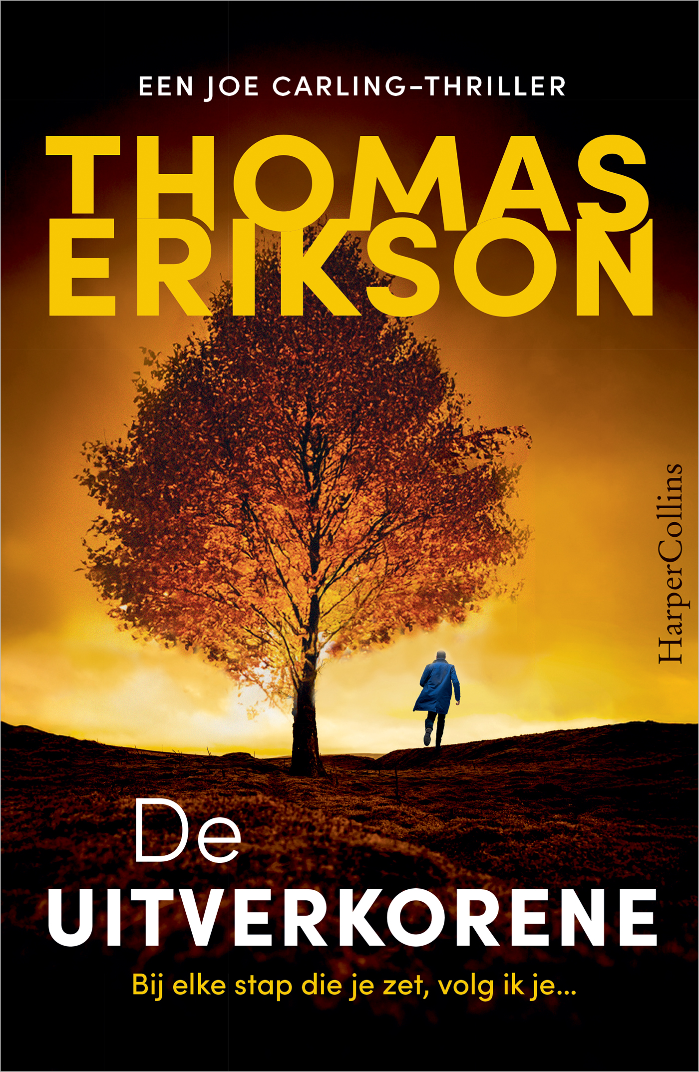 Omslag van De uitverkorene