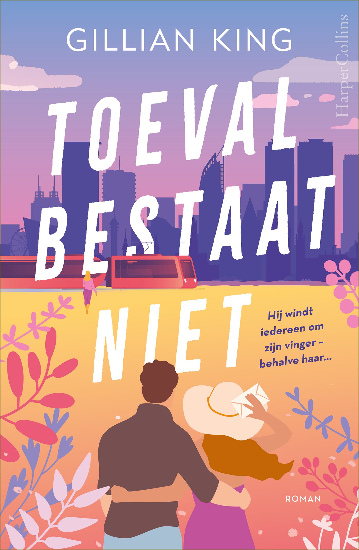Omslag van Toeval bestaat niet