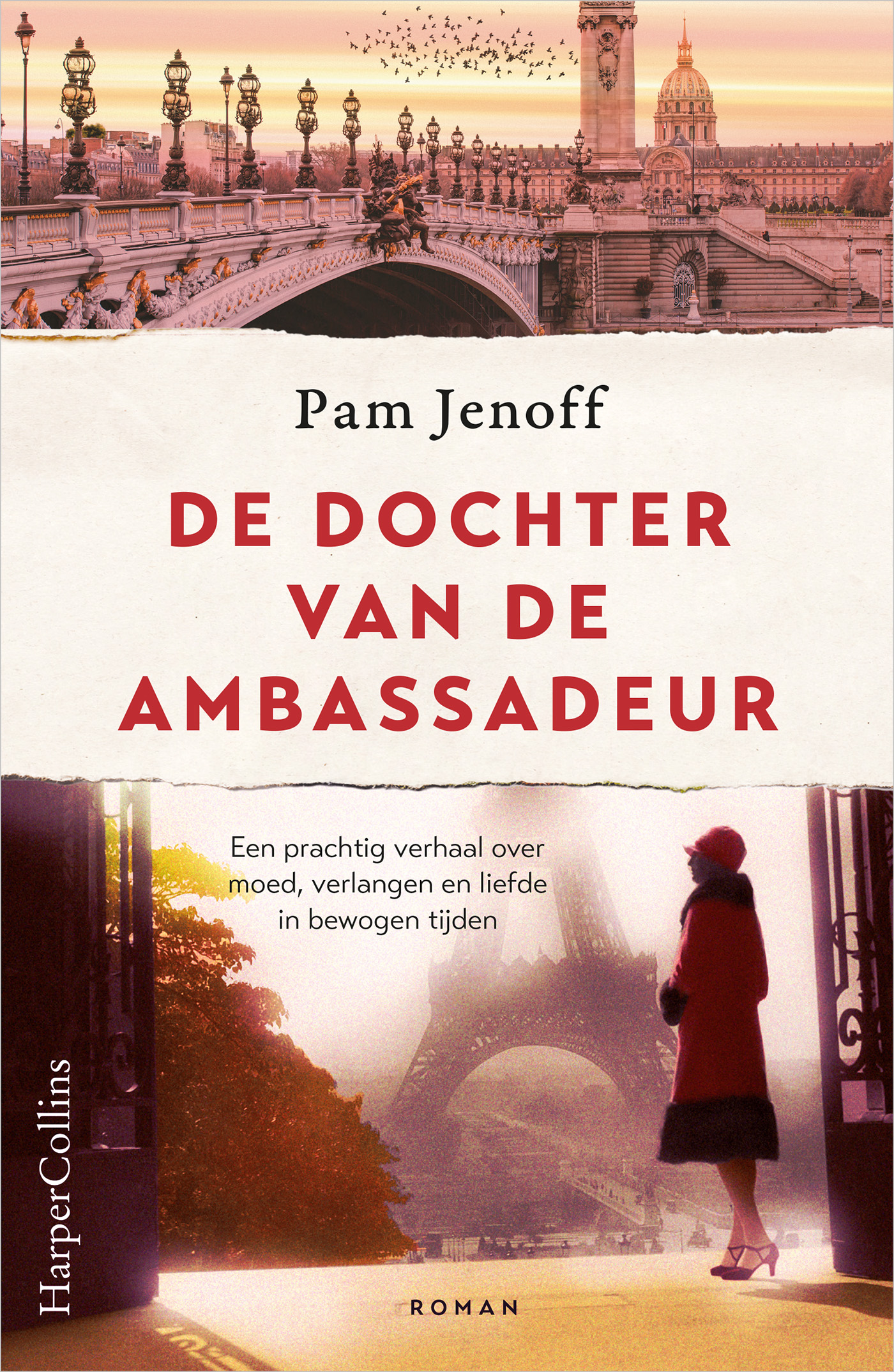Omslag van De dochter van de ambassadeur
