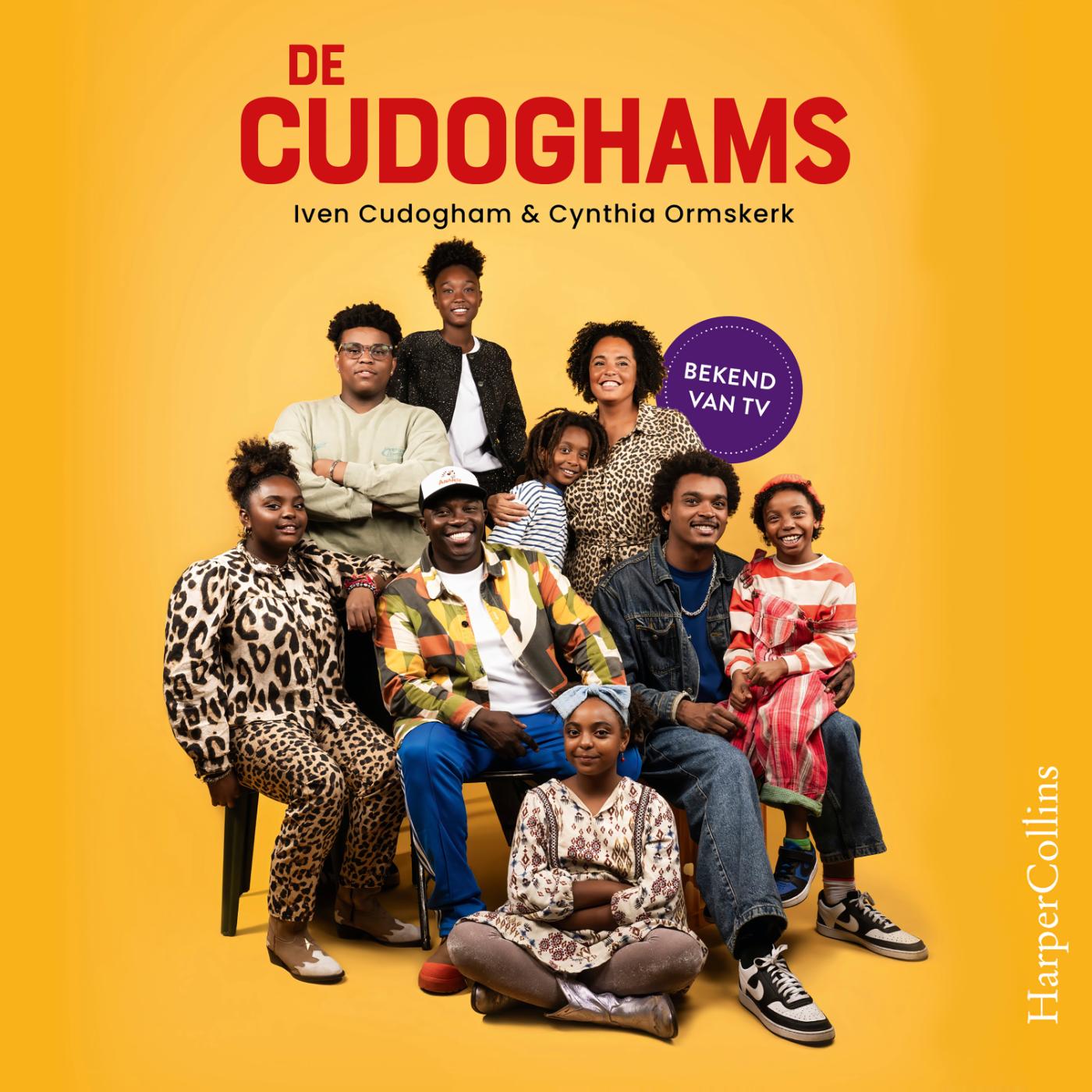 Omslag van De Cudoghams