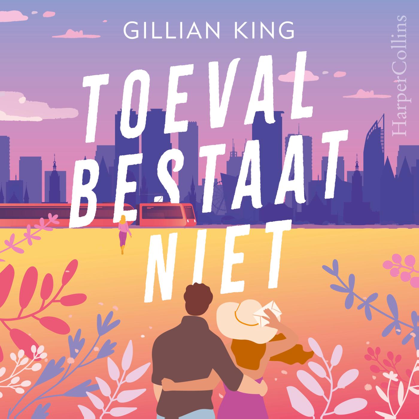 Omslag van Toeval bestaat niet